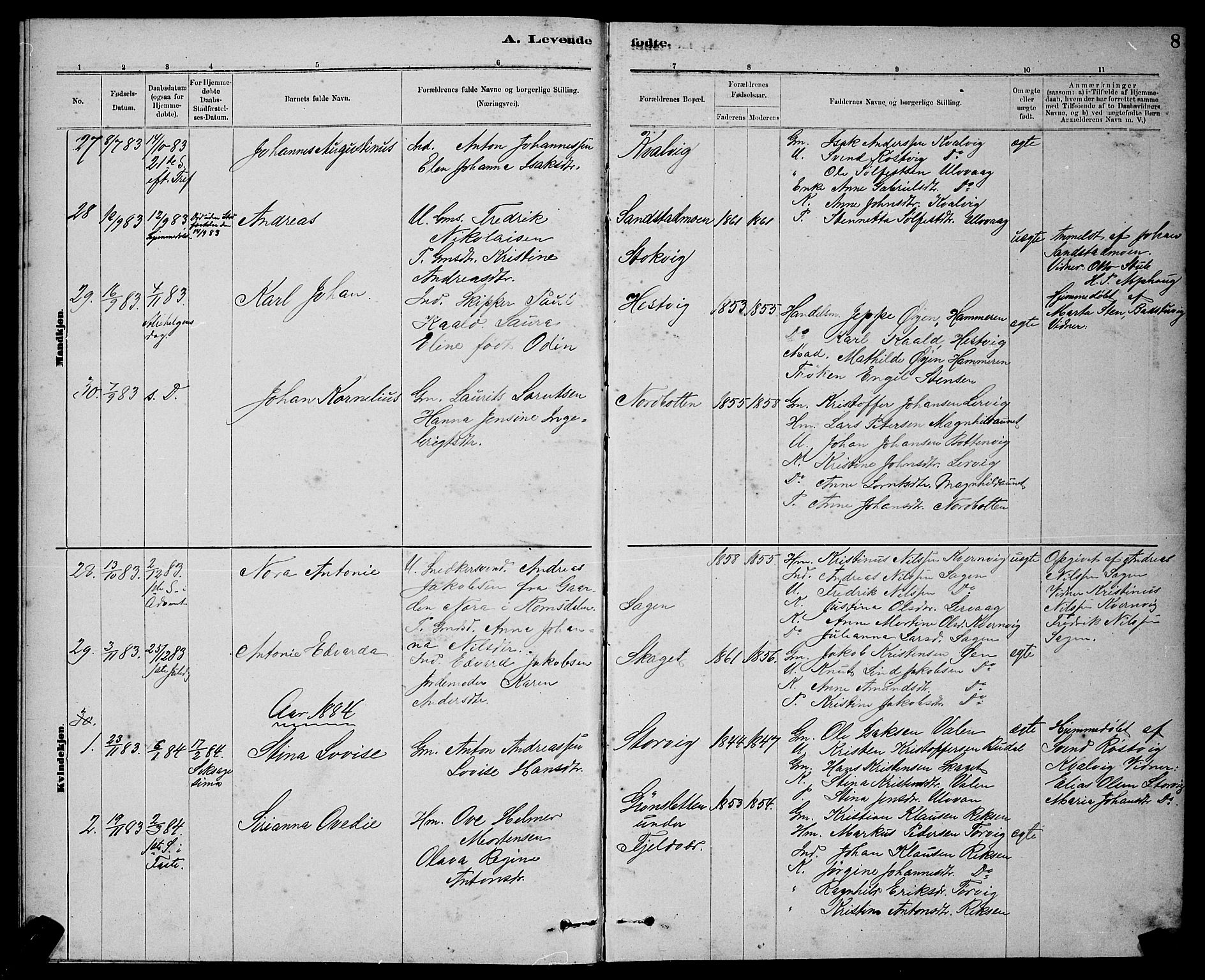 Ministerialprotokoller, klokkerbøker og fødselsregistre - Sør-Trøndelag, SAT/A-1456/637/L0562: Parish register (copy) no. 637C03, 1883-1898, p. 8