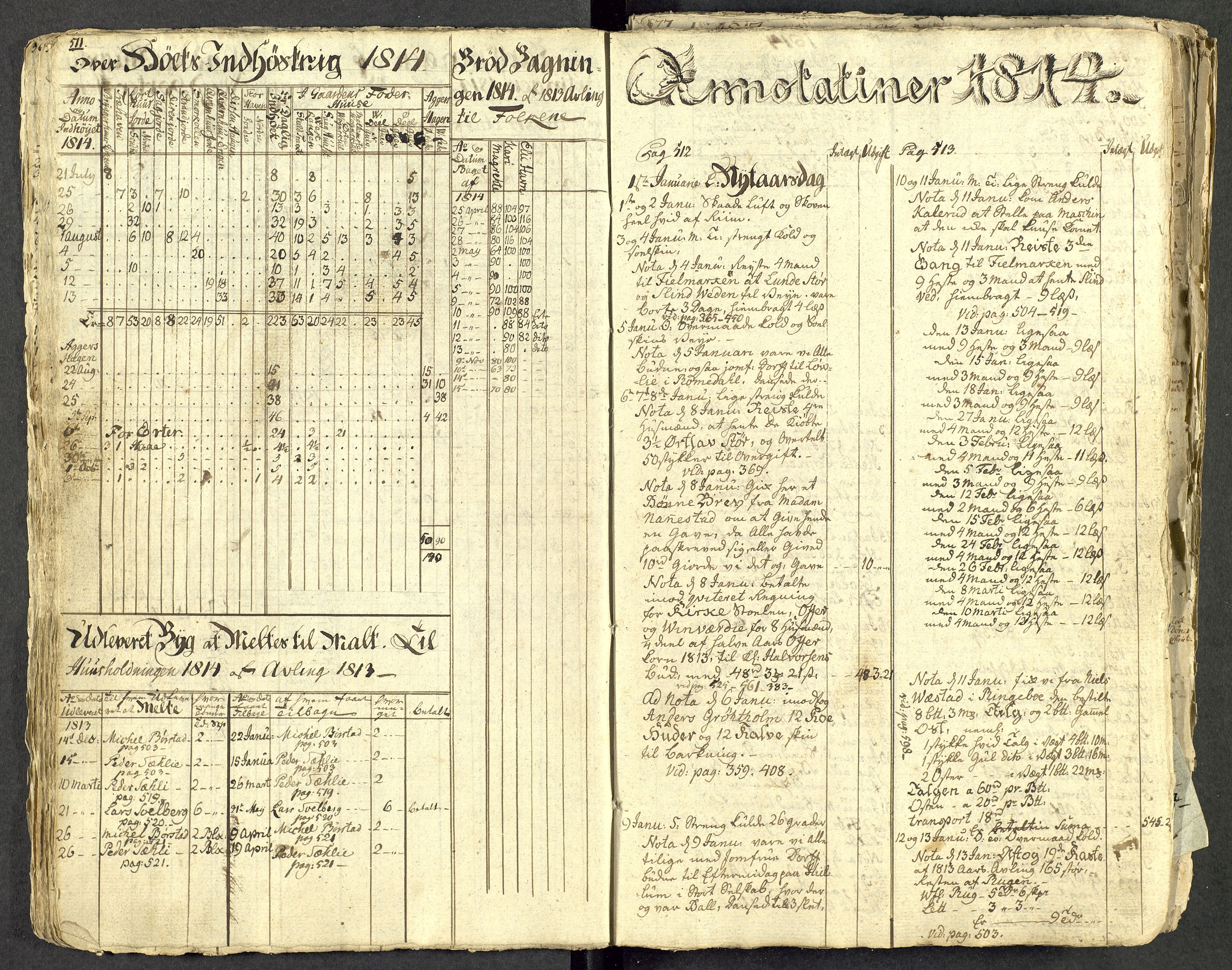 Åker i Vang, Hedmark, og familien Todderud, AV/SAH-ARK-010/G/Ga/L0004/0001: Dagbøker / Dagbok, 1812-1825, p. 23