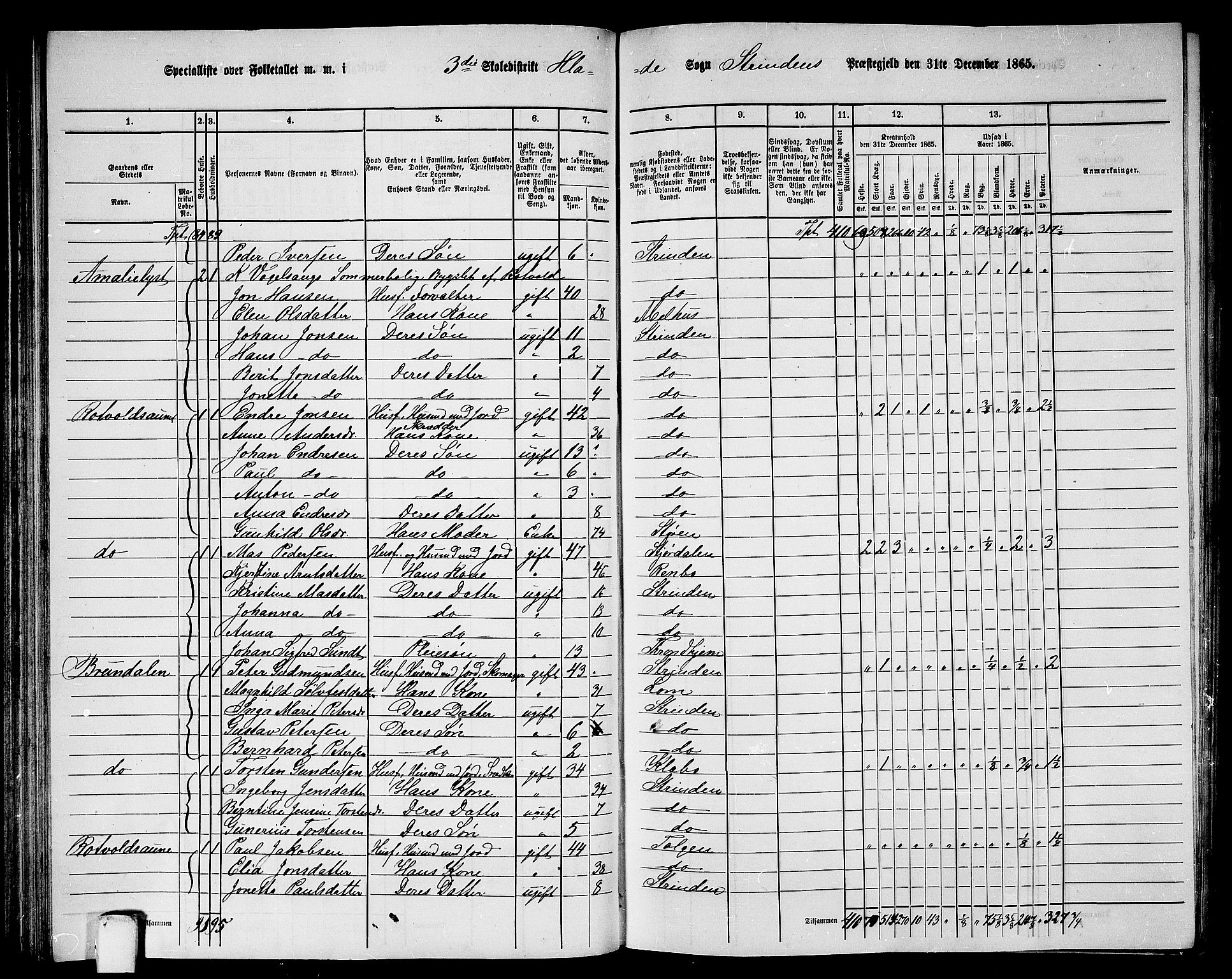 RA, 1865 census for Strinda, 1865, p. 89