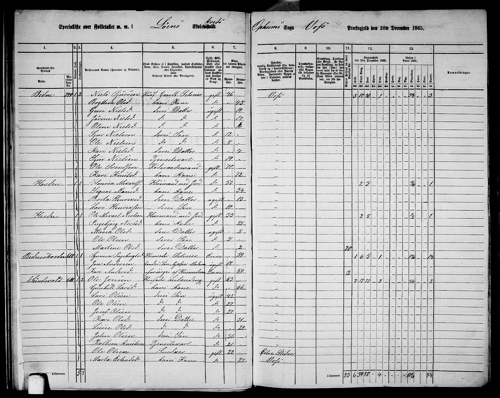 RA, 1865 census for Voss, 1865, p. 242