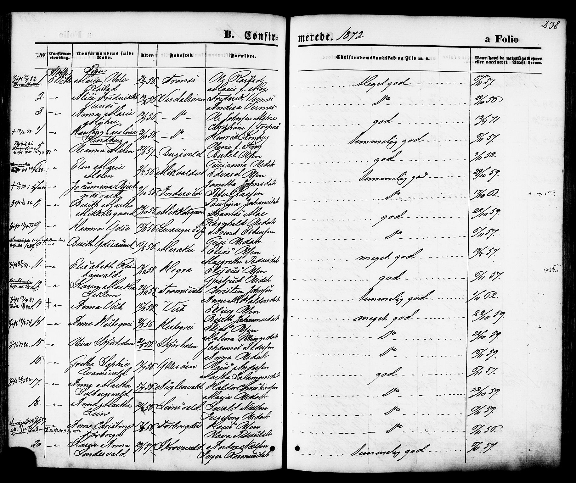 Ministerialprotokoller, klokkerbøker og fødselsregistre - Nord-Trøndelag, AV/SAT-A-1458/723/L0242: Parish register (official) no. 723A11, 1870-1880, p. 238