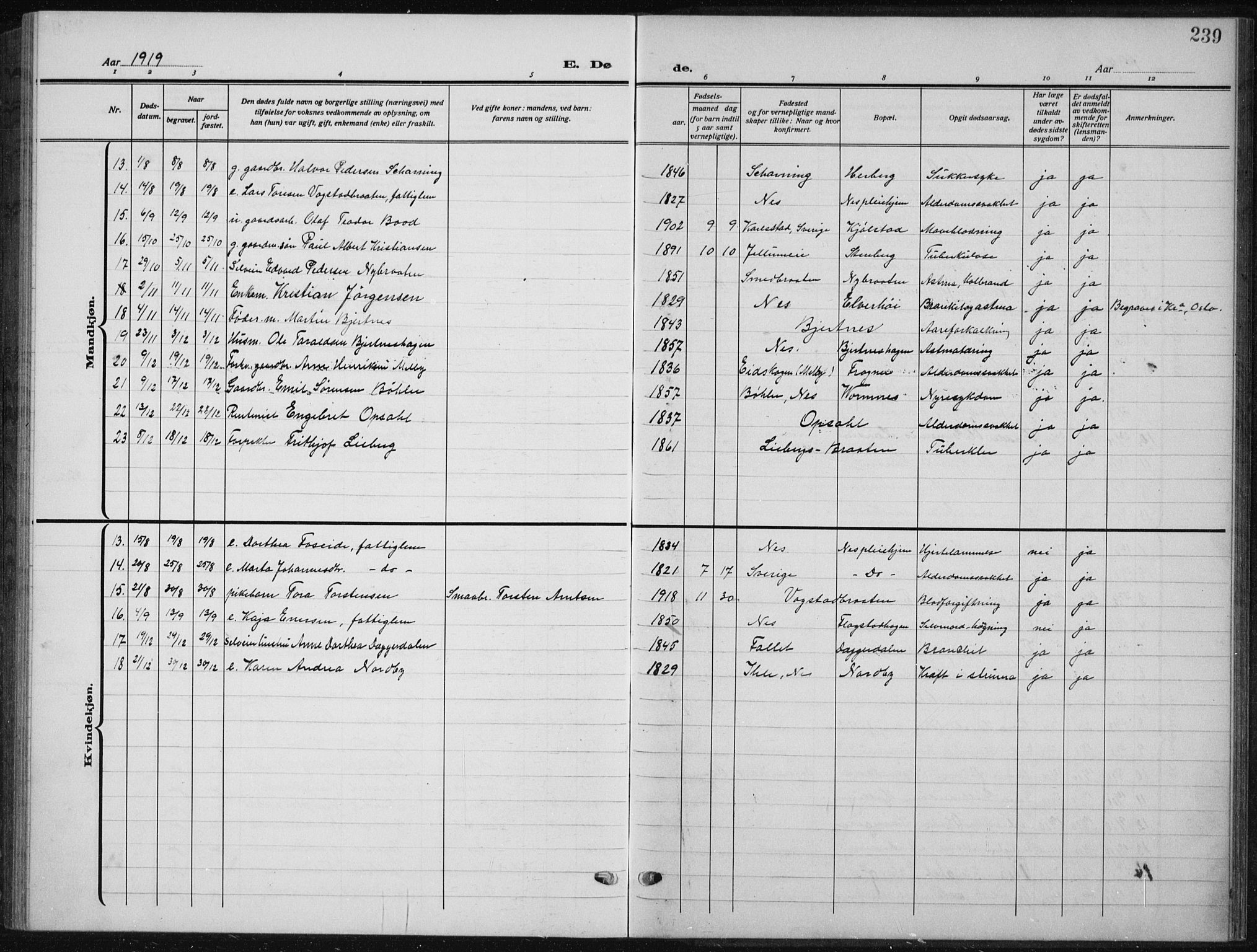 Nes prestekontor Kirkebøker, AV/SAO-A-10410/G/Ga/L0003: Parish register (copy) no. I 3, 1913-1941, p. 239