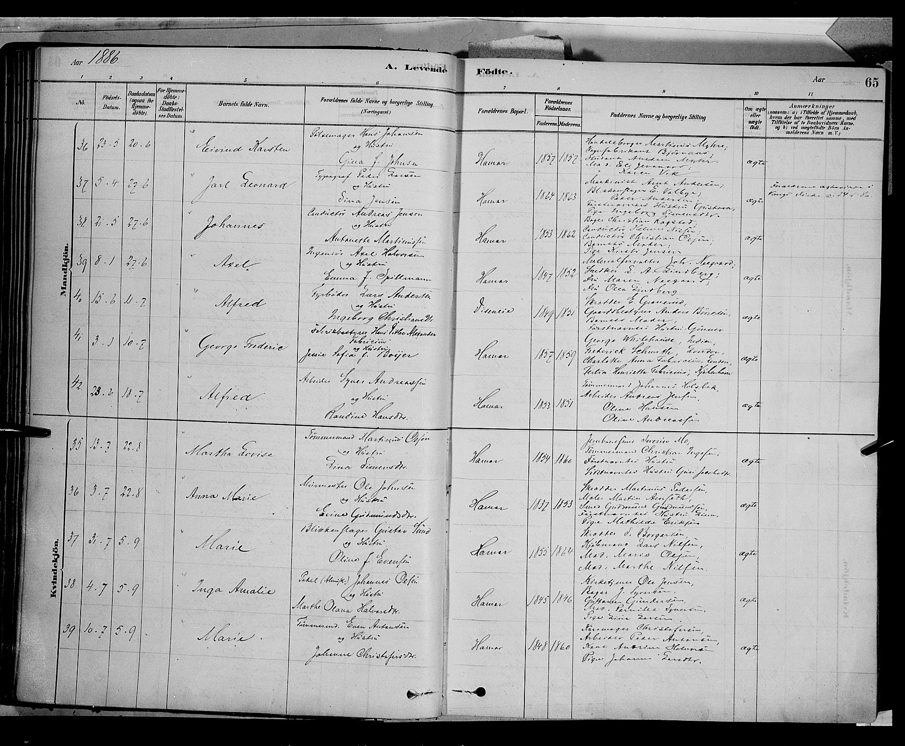 Vang prestekontor, Hedmark, SAH/PREST-008/H/Ha/Haa/L0016: Parish register (official) no. 16, 1878-1889, p. 65