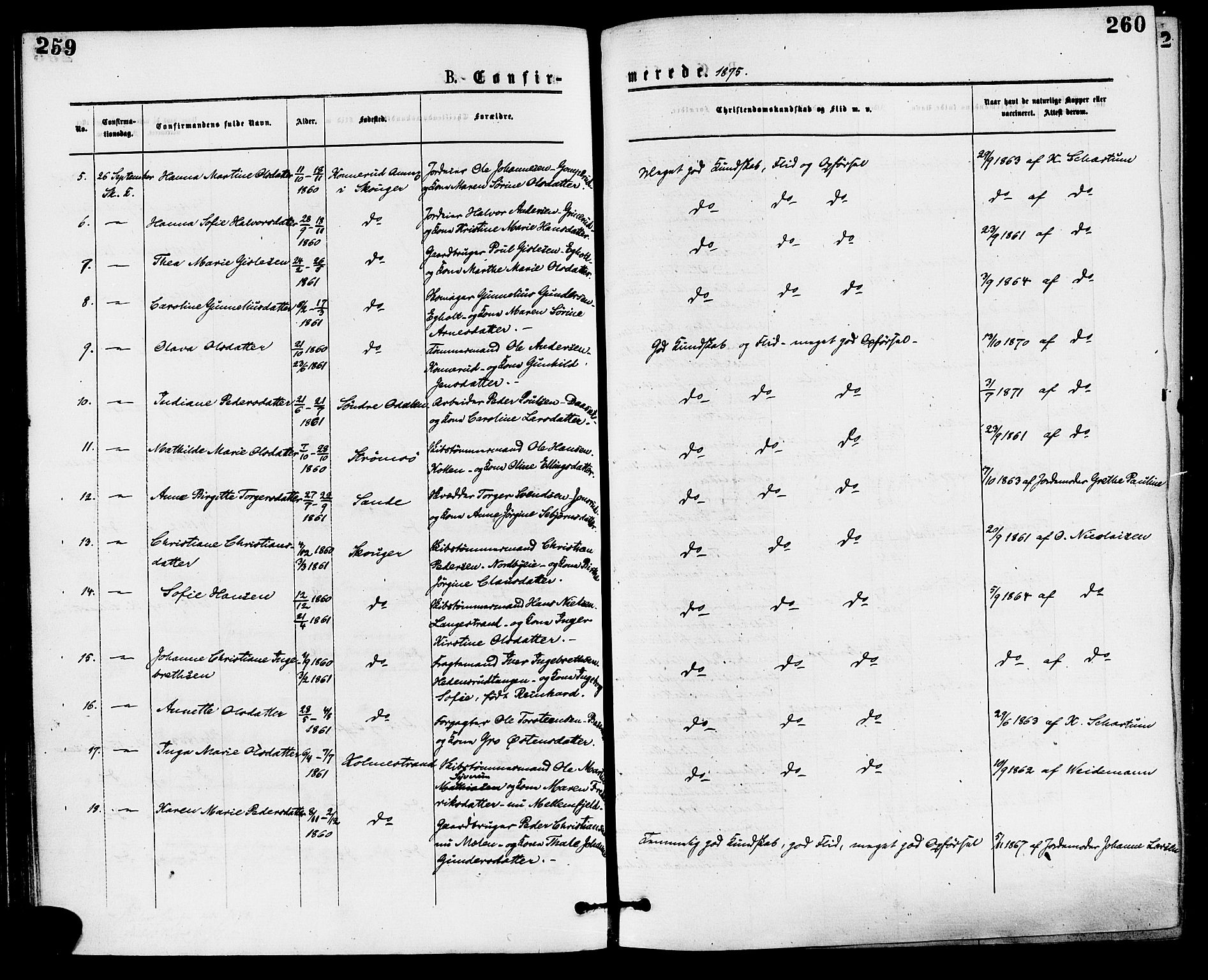 Skoger kirkebøker, AV/SAKO-A-59/F/Fa/L0005: Parish register (official) no. I 5, 1873-1884, p. 259-260