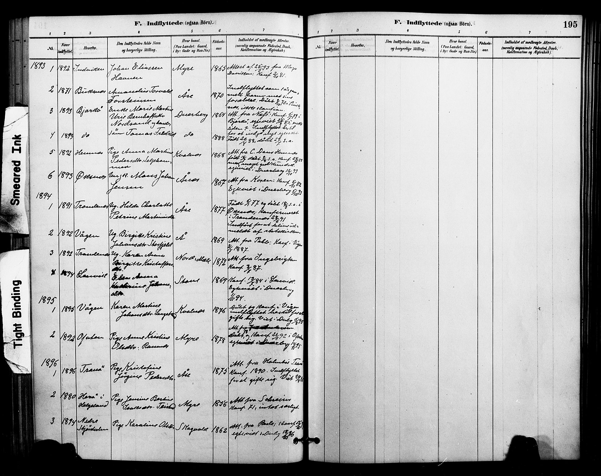 Ministerialprotokoller, klokkerbøker og fødselsregistre - Nordland, AV/SAT-A-1459/897/L1399: Parish register (official) no. 897C06, 1881-1896, p. 195