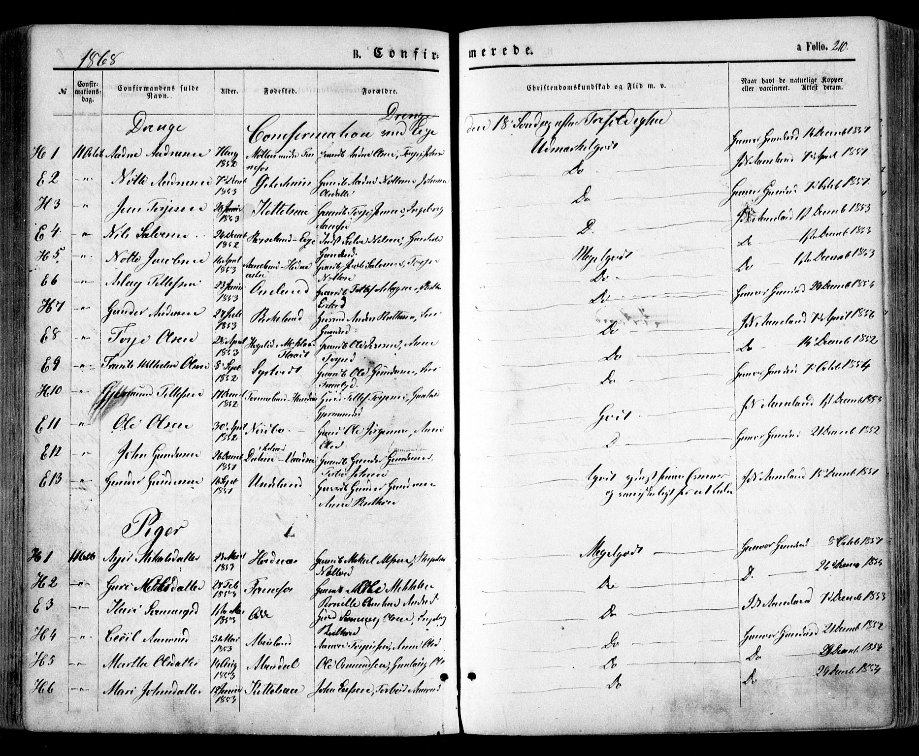 Evje sokneprestkontor, SAK/1111-0008/F/Fa/Faa/L0006: Parish register (official) no. A 6, 1866-1884, p. 210