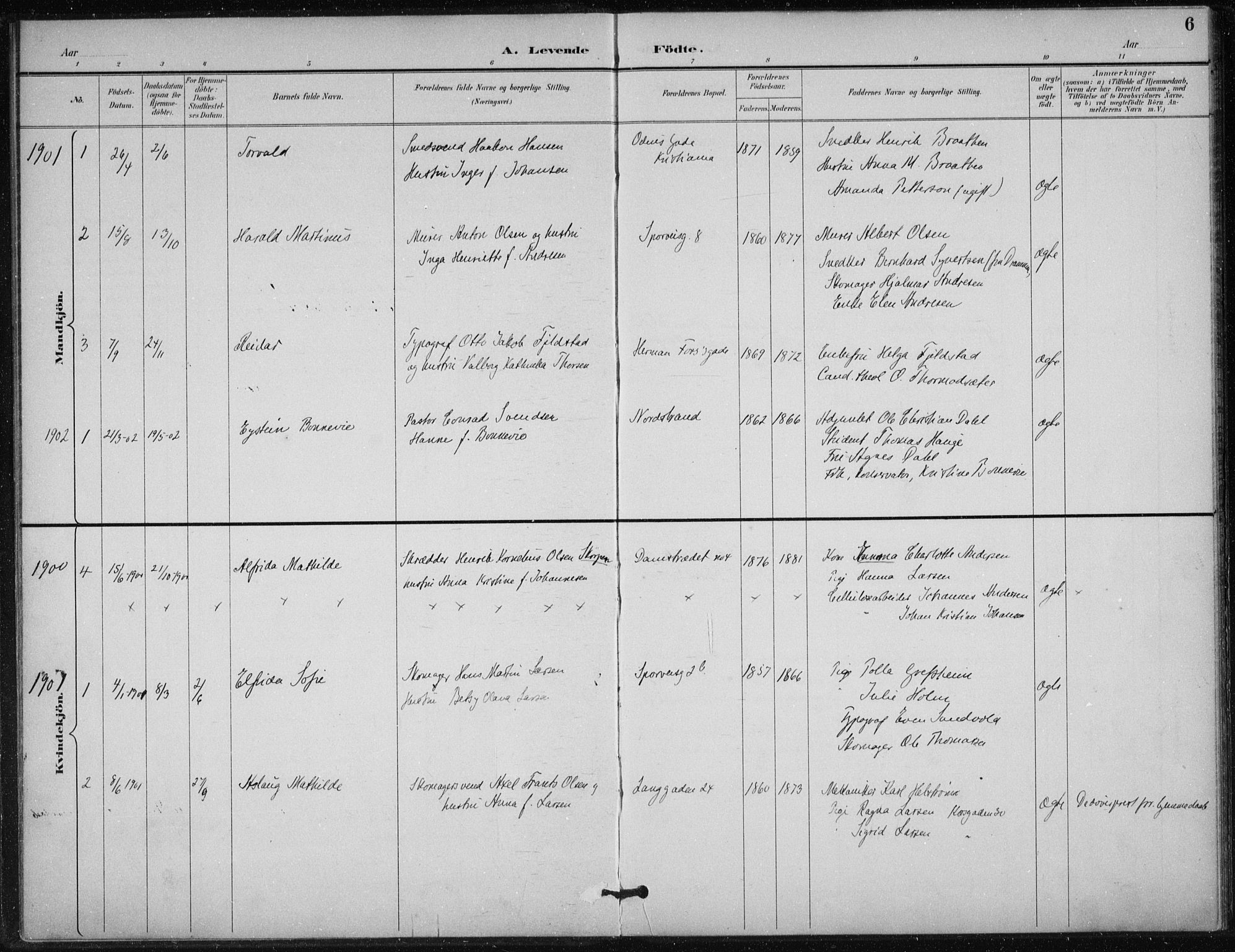 Døves menighet Oslo prestekontor kirkebøker, AV/SAO-A-11064/F/L0001: Parish register (official) no. 1, 1895-1919, p. 6