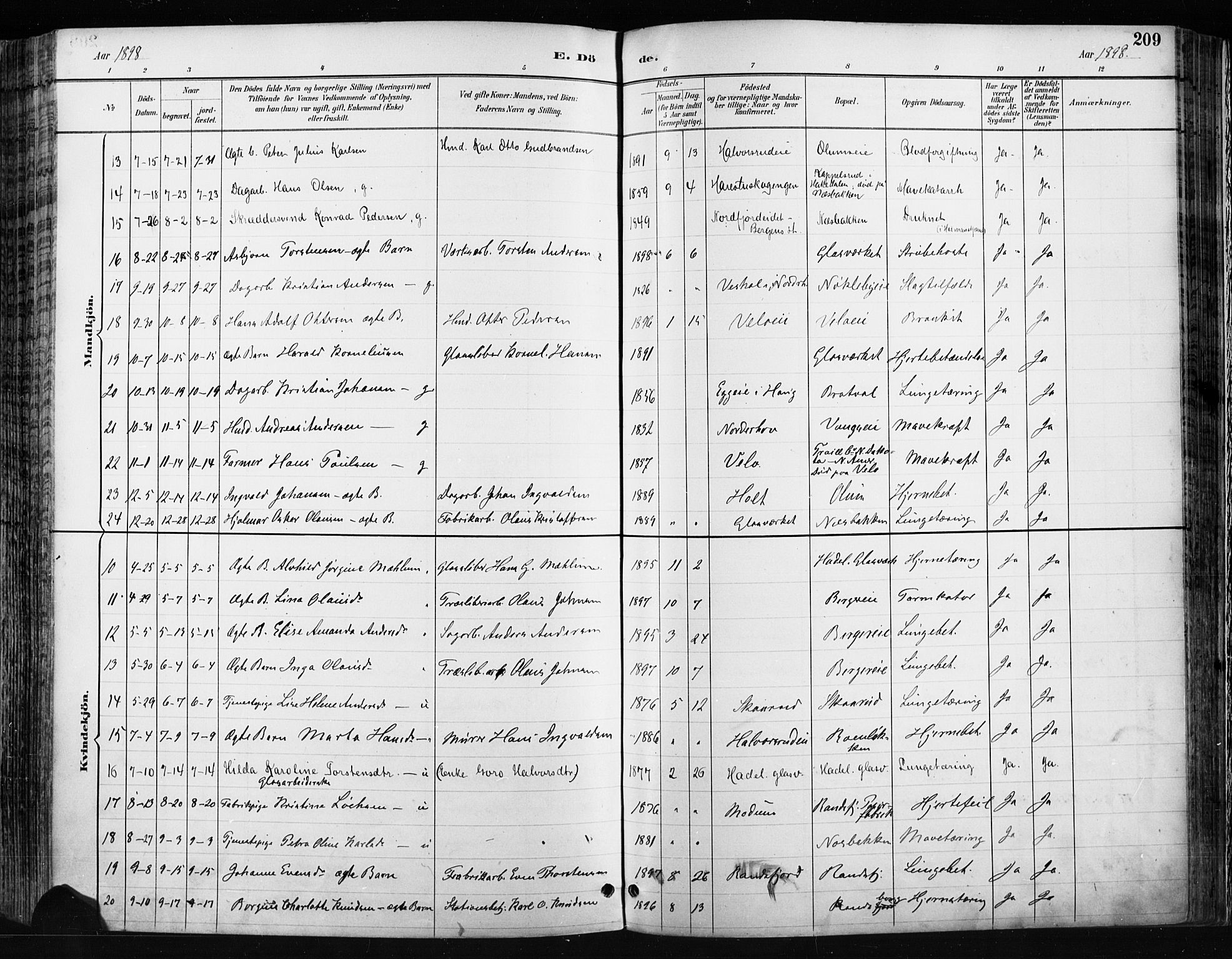 Jevnaker prestekontor, SAH/PREST-116/H/Ha/Haa/L0009: Parish register (official) no. 9, 1891-1901, p. 209