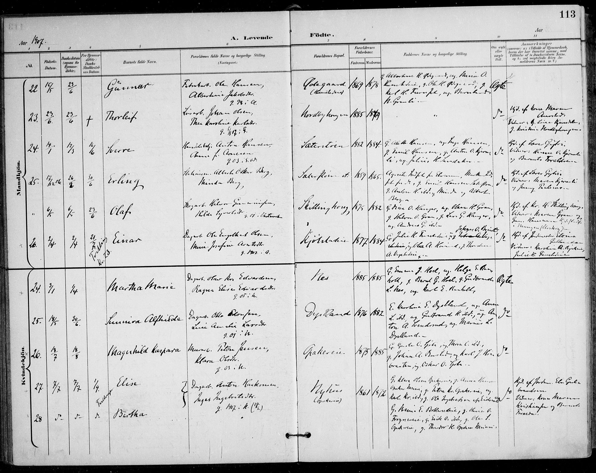 Nes prestekontor Kirkebøker, AV/SAO-A-10410/F/Fa/L0011: Parish register (official) no. I 11, 1899-1918, p. 113