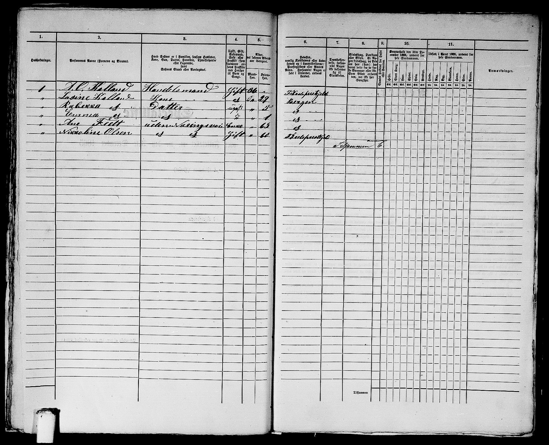 RA, 1865 census for Bergen, 1865, p. 3060