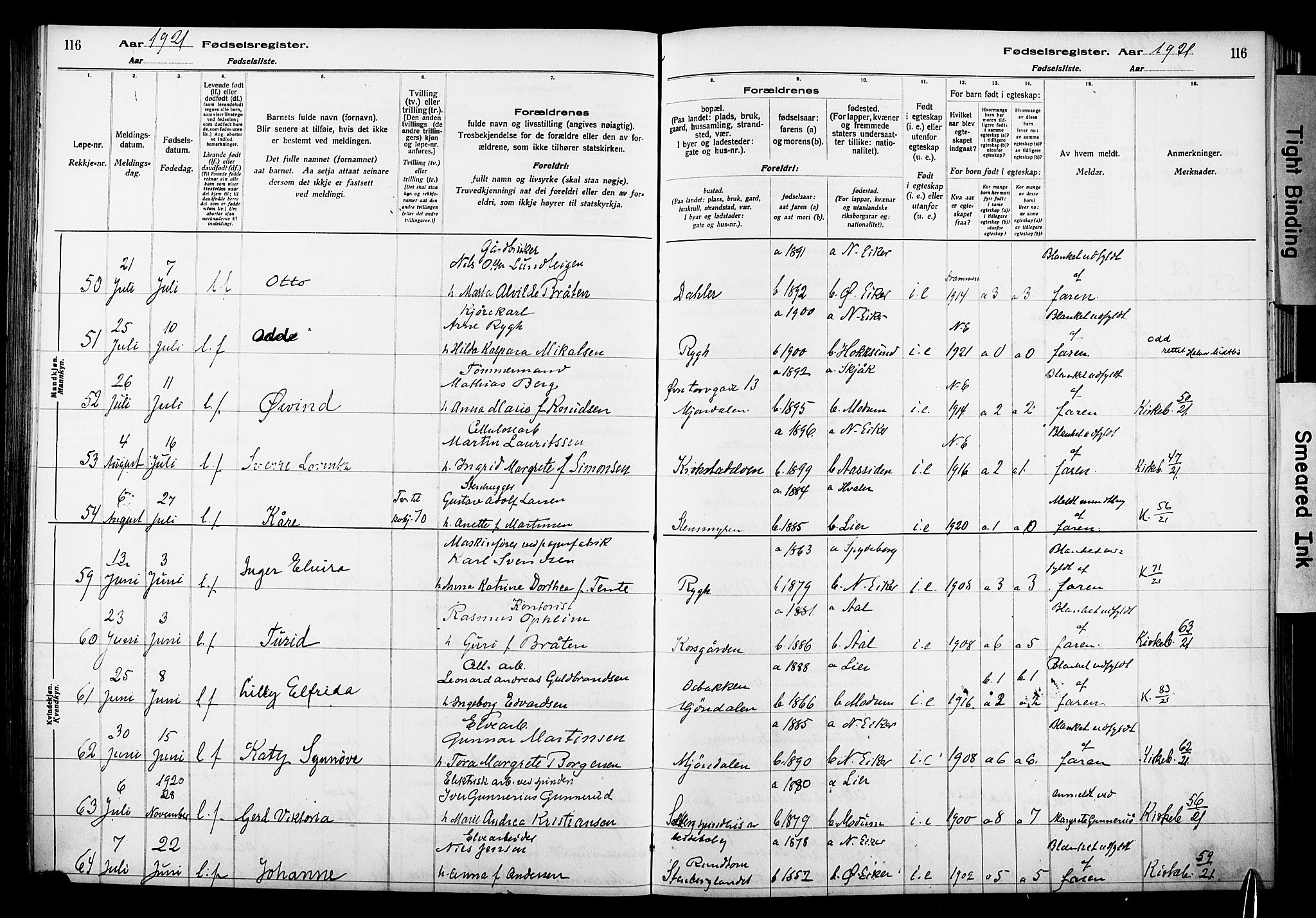 Nedre Eiker kirkebøker, AV/SAKO-A-612/J/Ja/L0001: Birth register no. 1, 1916-1925, p. 116