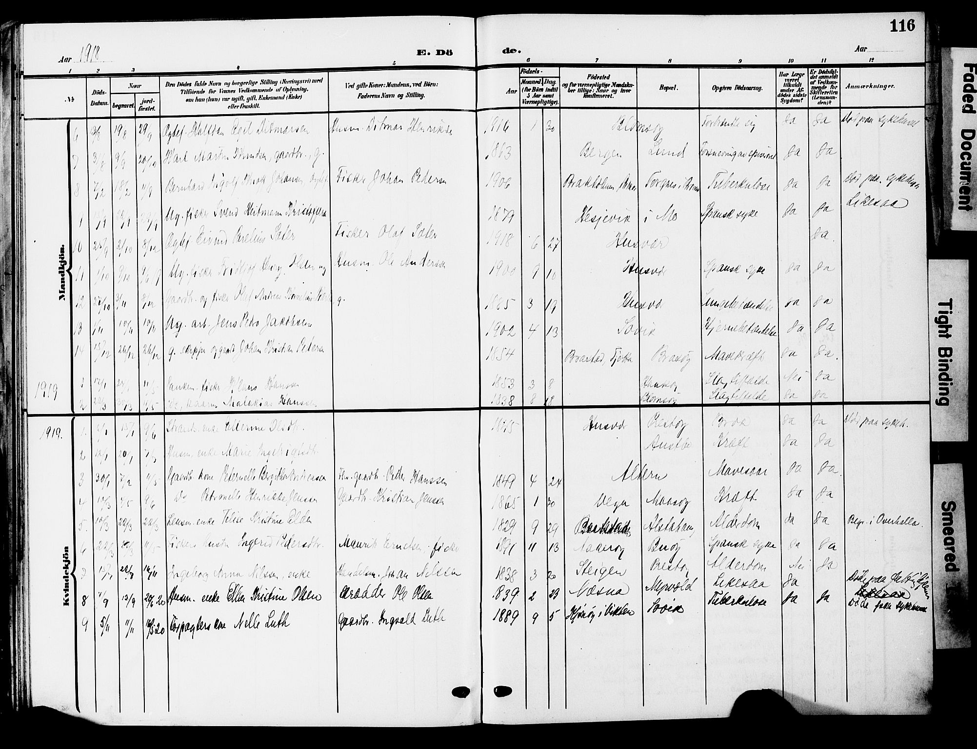 Ministerialprotokoller, klokkerbøker og fødselsregistre - Nordland, AV/SAT-A-1459/830/L0464: Parish register (copy) no. 830C06, 1906-1925, p. 116