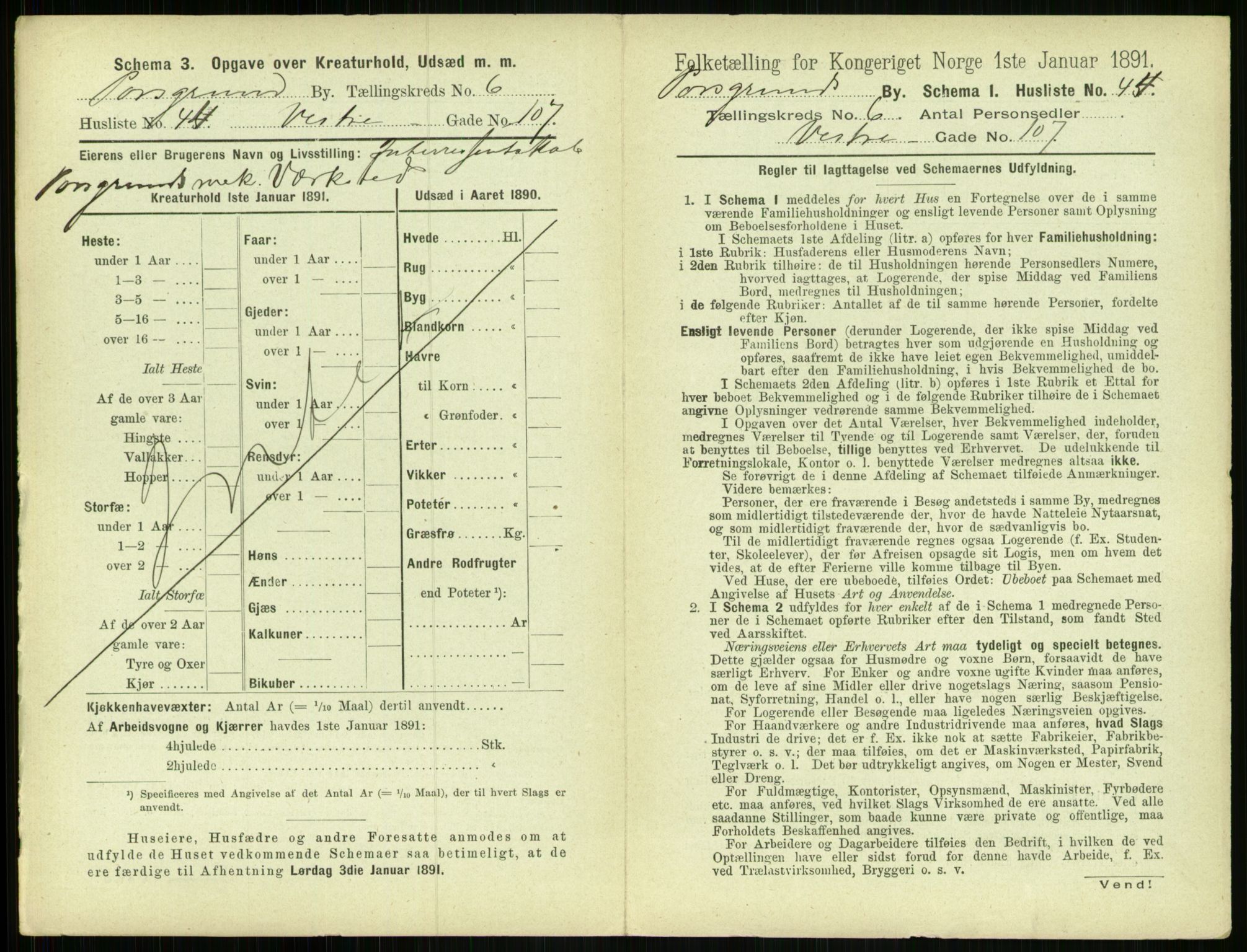 RA, 1891 census for 0805 Porsgrunn, 1891, p. 1271