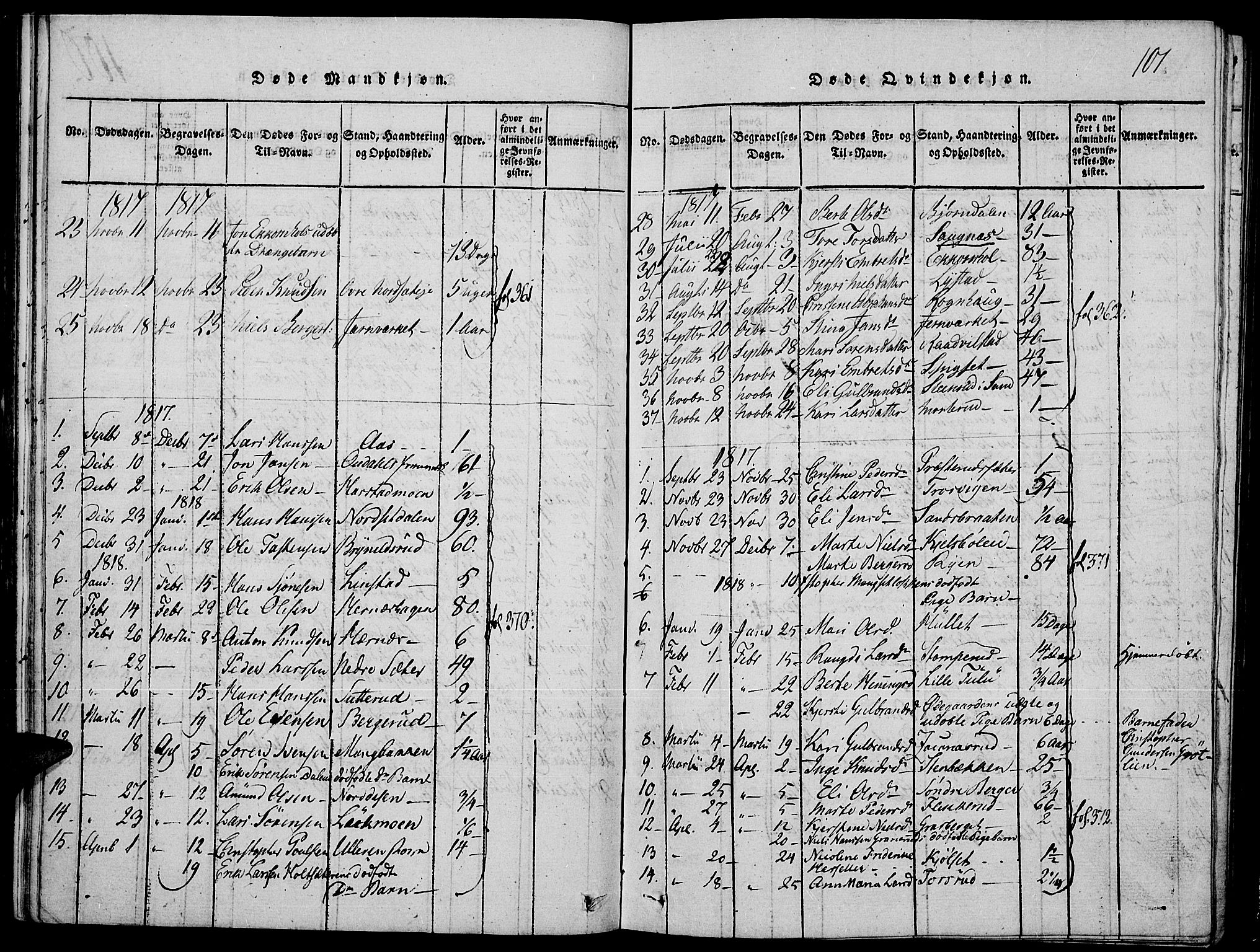 Strøm-Odalen prestekontor, SAH/PREST-028/H/Ha/Hab/L0001: Parish register (copy) no. 1, 1813-1825, p. 101