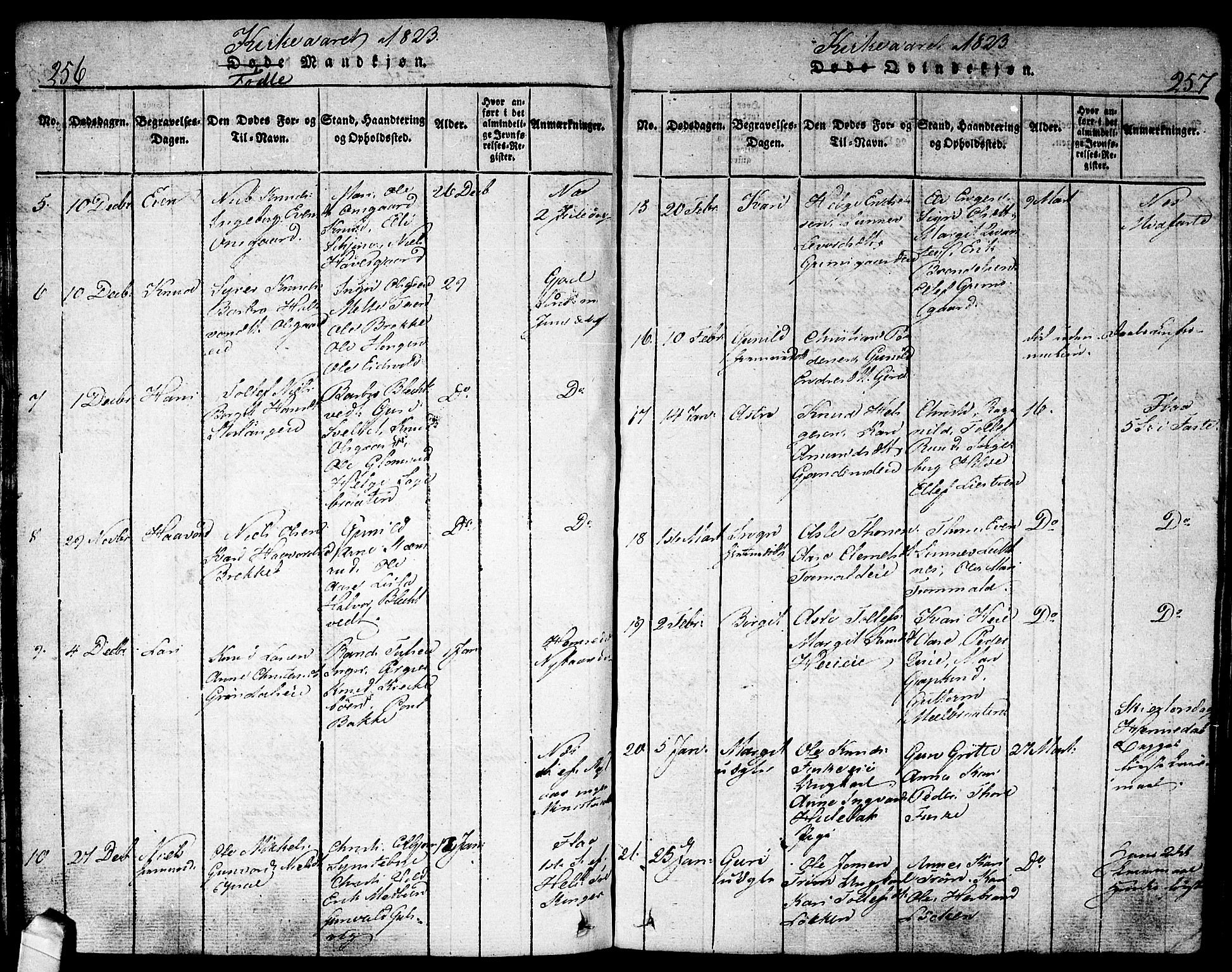 Nes kirkebøker, AV/SAKO-A-236/F/Fa/L0007: Parish register (official) no. 7, 1815-1823, p. 256-257