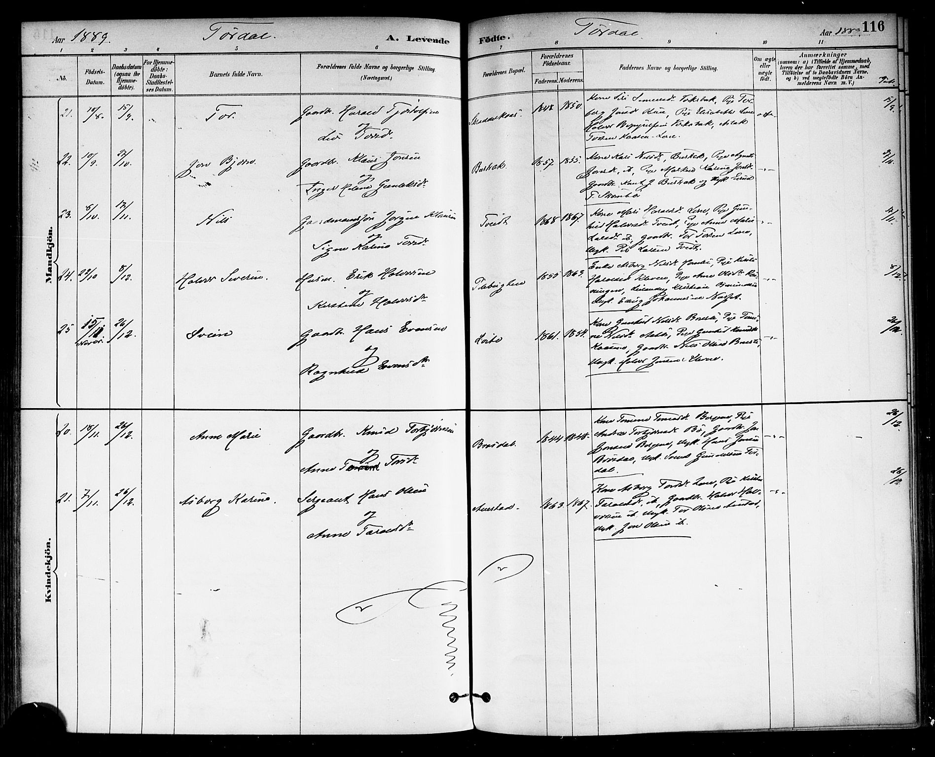 Drangedal kirkebøker, SAKO/A-258/F/Fa/L0010: Parish register (official) no. 10 /2, 1885-1894, p. 116