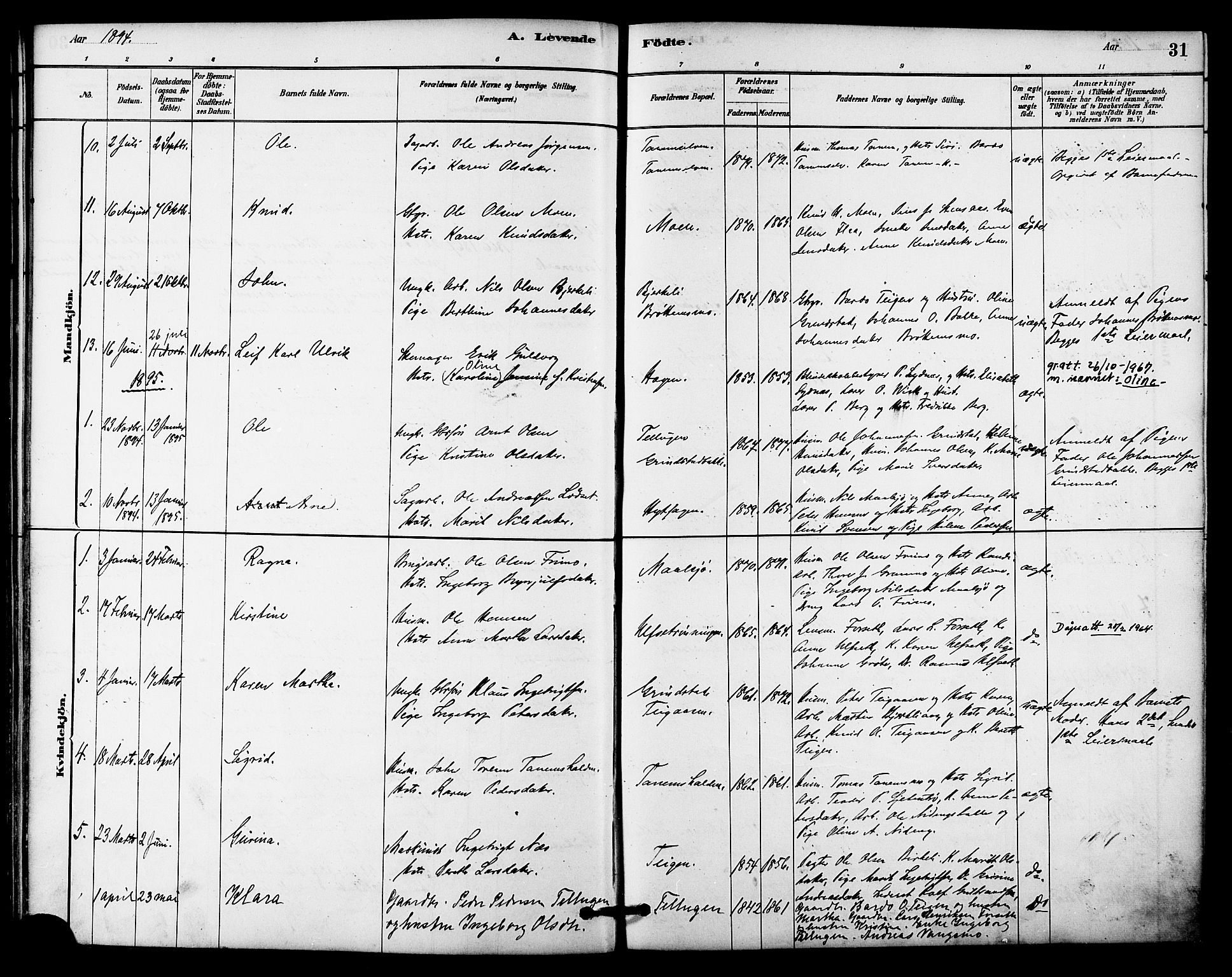 Ministerialprotokoller, klokkerbøker og fødselsregistre - Sør-Trøndelag, SAT/A-1456/618/L0444: Parish register (official) no. 618A07, 1880-1898, p. 31