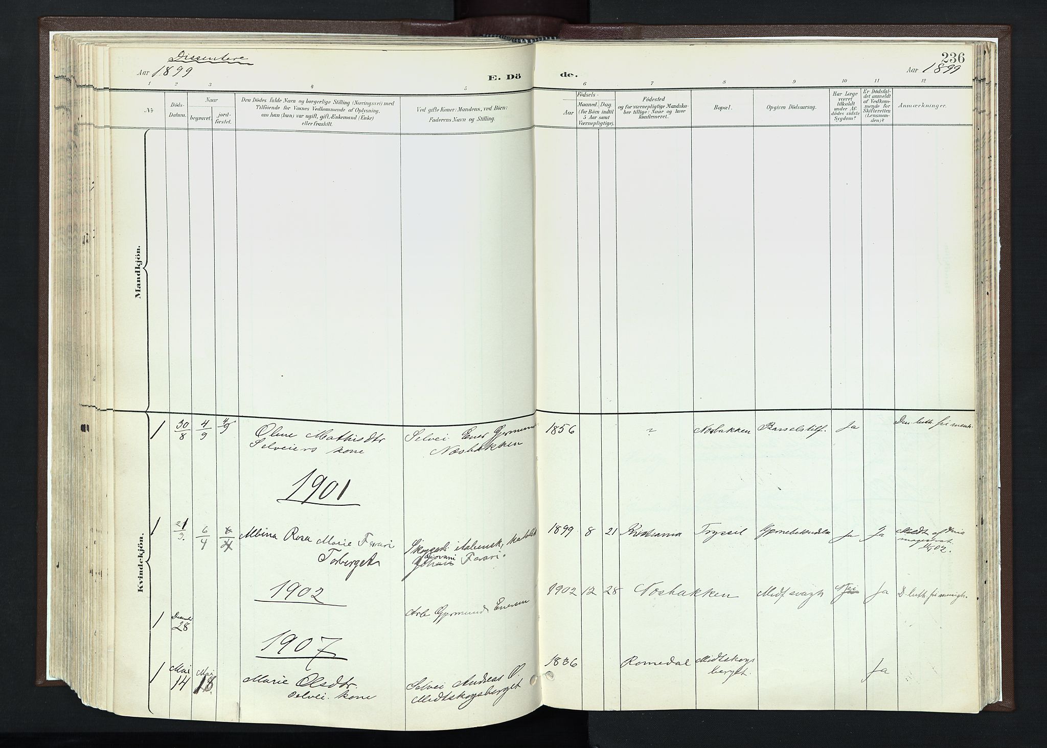 Trysil prestekontor, SAH/PREST-046/H/Ha/Haa/L0013: Parish register (official) no. 13, 1898-1911, p. 236