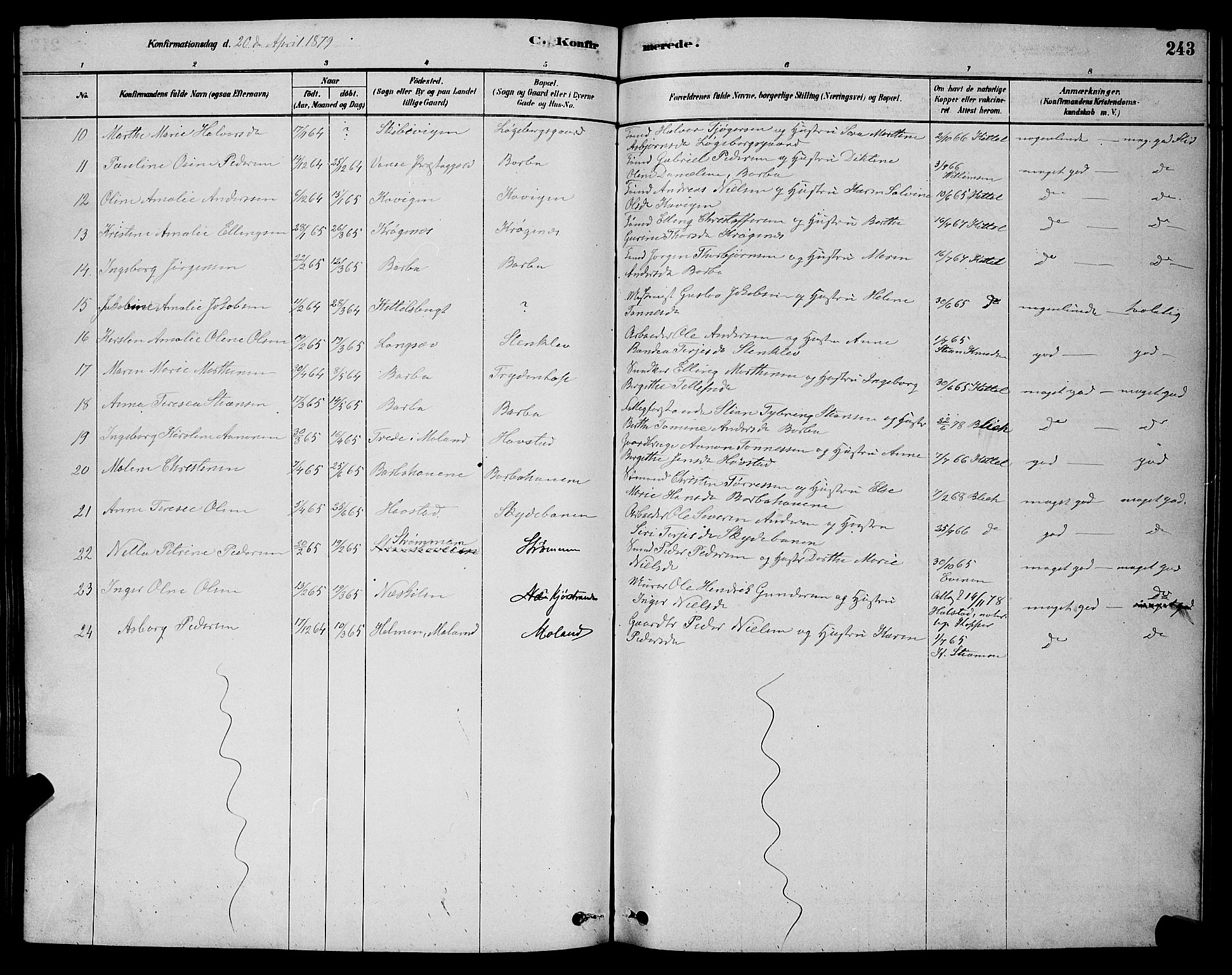 Barbu sokneprestkontor, AV/SAK-1111-0003/F/Fb/L0001: Parish register (copy) no. B 1, 1878-1890, p. 243