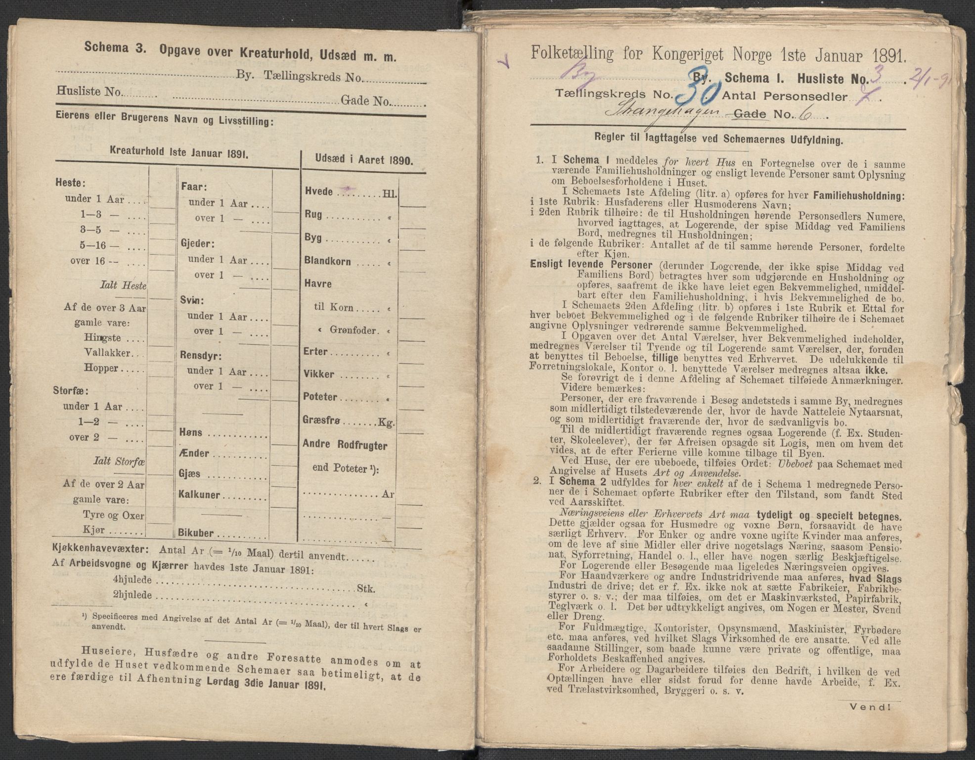 RA, 1891 Census for 1301 Bergen, 1891, p. 4699