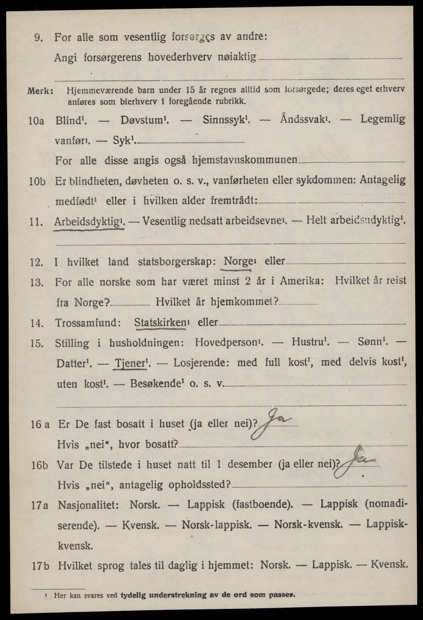 SAT, 1920 census for Selbu, 1920, p. 9051