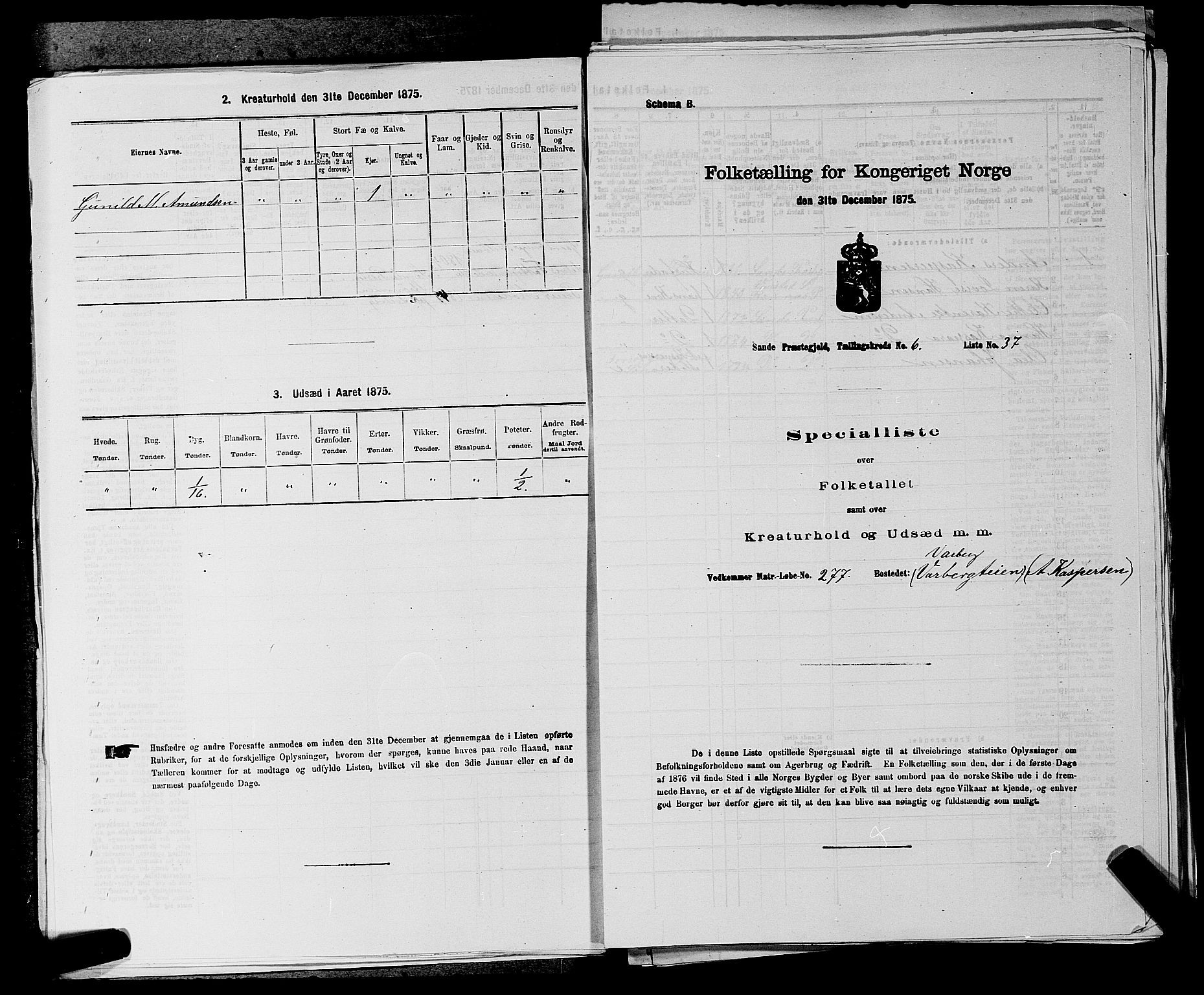 SAKO, 1875 census for 0713P Sande, 1875, p. 1167