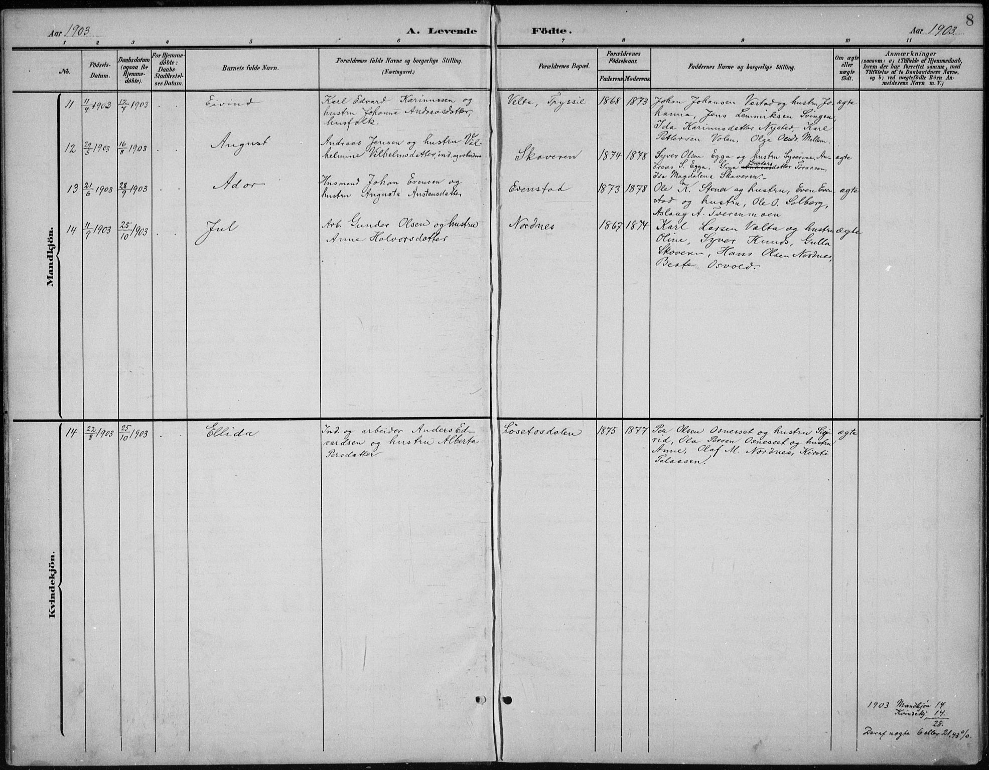 Åmot prestekontor, Hedmark, AV/SAH-PREST-056/H/Ha/Hab/L0003: Parish register (copy) no. 3, 1902-1938, p. 8