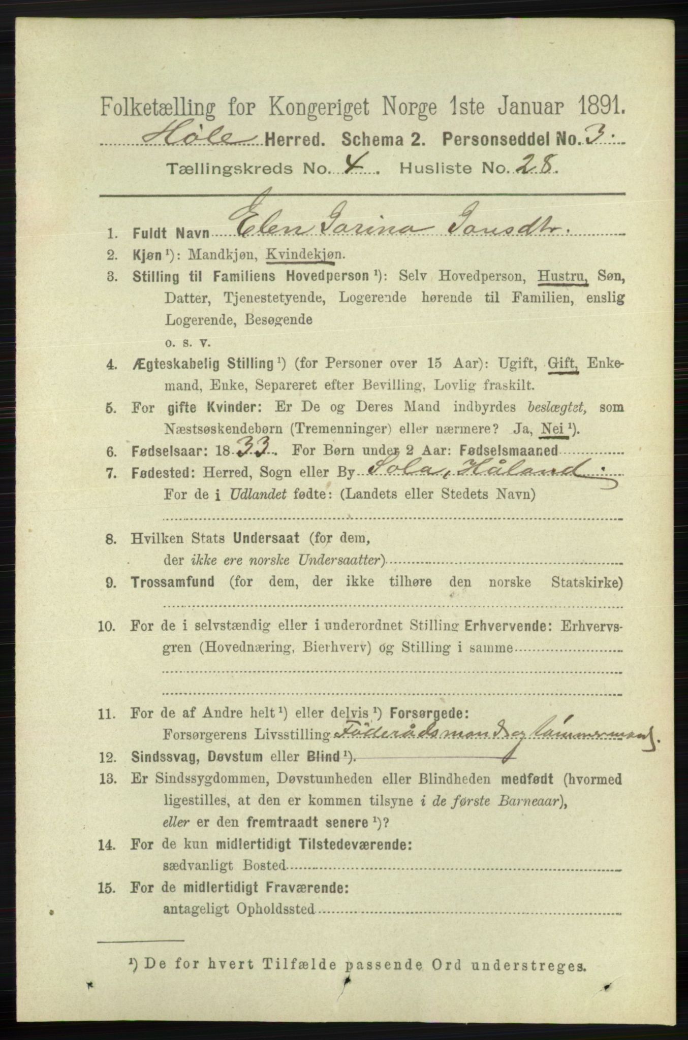 RA, 1891 census for 1128 Høle, 1891, p. 1008