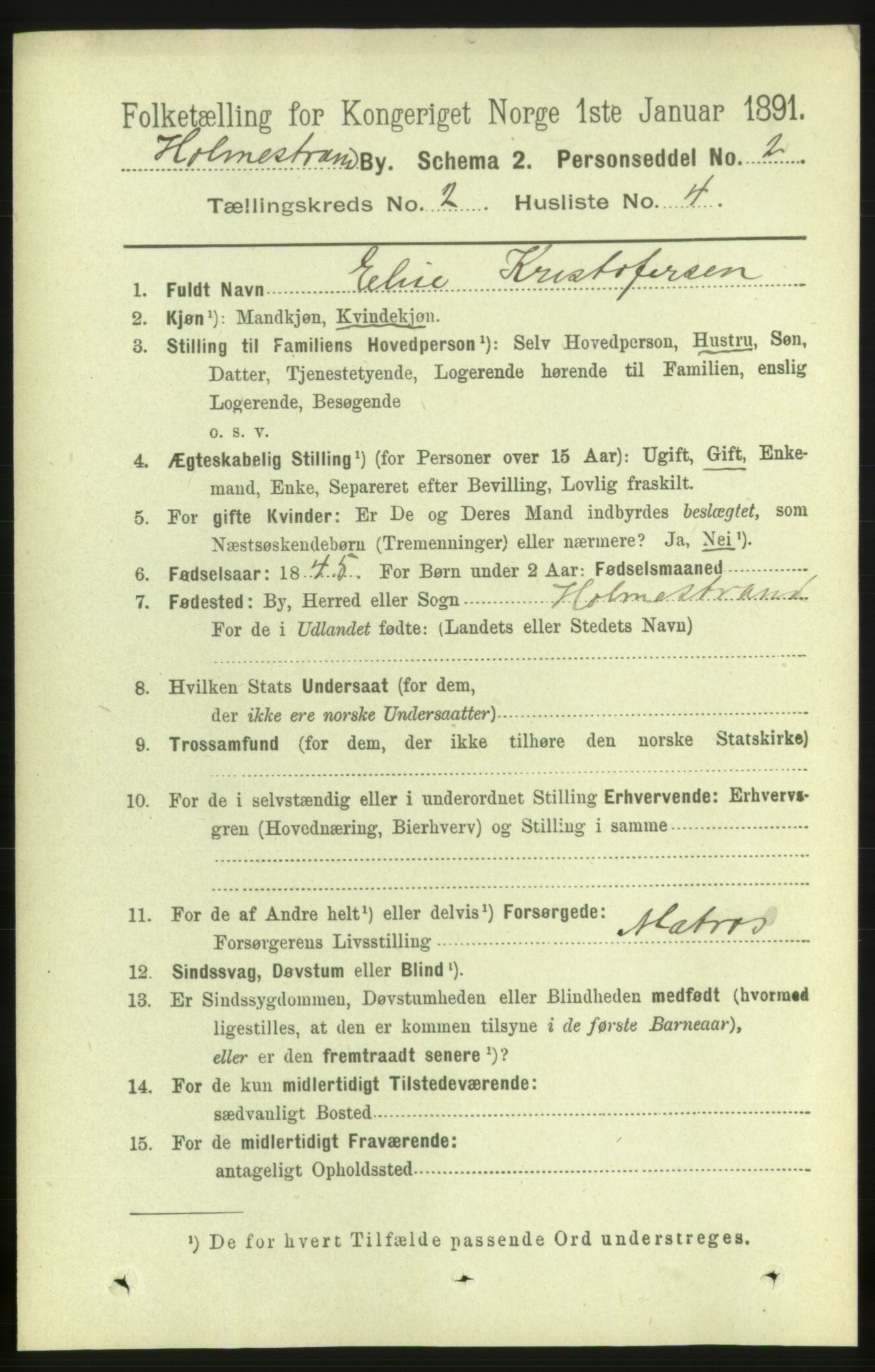 RA, 1891 census for 0702 Holmestrand, 1891, p. 1079