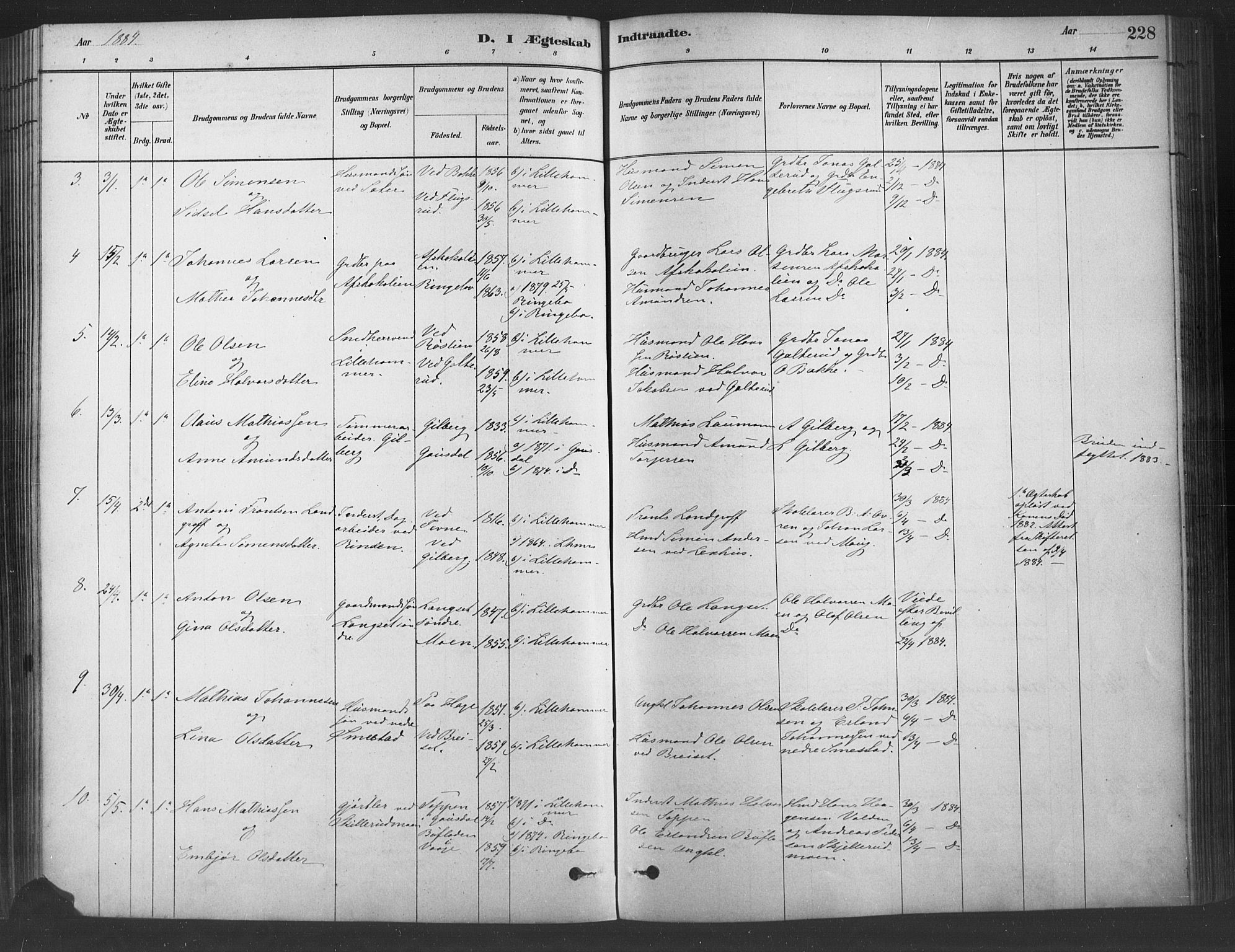 Fåberg prestekontor, SAH/PREST-086/H/Ha/Haa/L0009: Parish register (official) no. 9, 1879-1898, p. 228