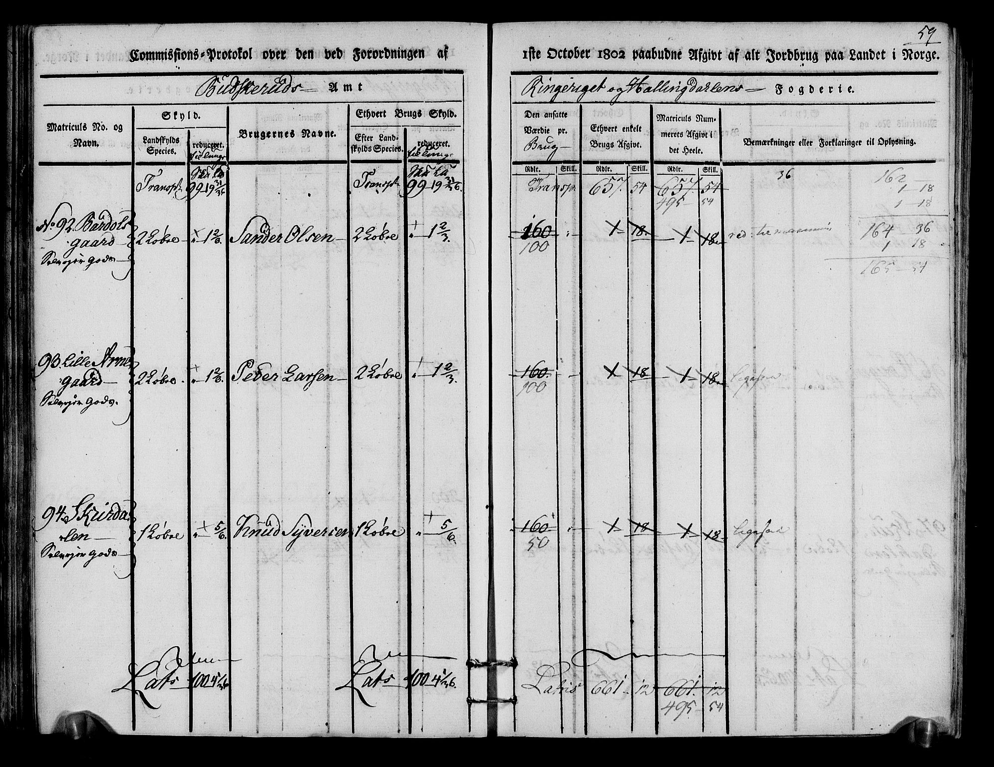 Rentekammeret inntil 1814, Realistisk ordnet avdeling, RA/EA-4070/N/Ne/Nea/L0048: Ringerike og Hallingdal fogderi. Kommisjonsprotokoll for Ål prestegjeld, 1803, p. 62