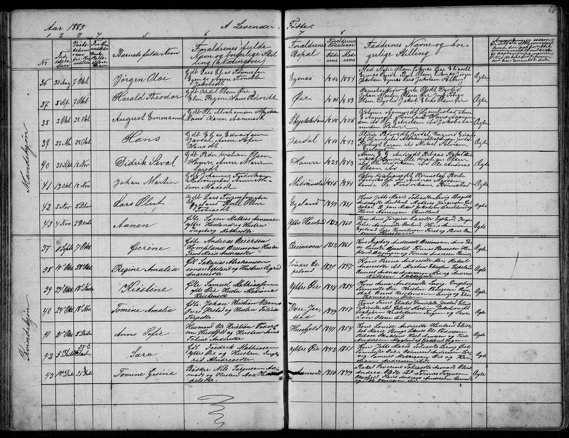 Kvinesdal sokneprestkontor, SAK/1111-0026/F/Fb/Fbb/L0002: Parish register (copy) no. B 2, 1873-1897, p. 65