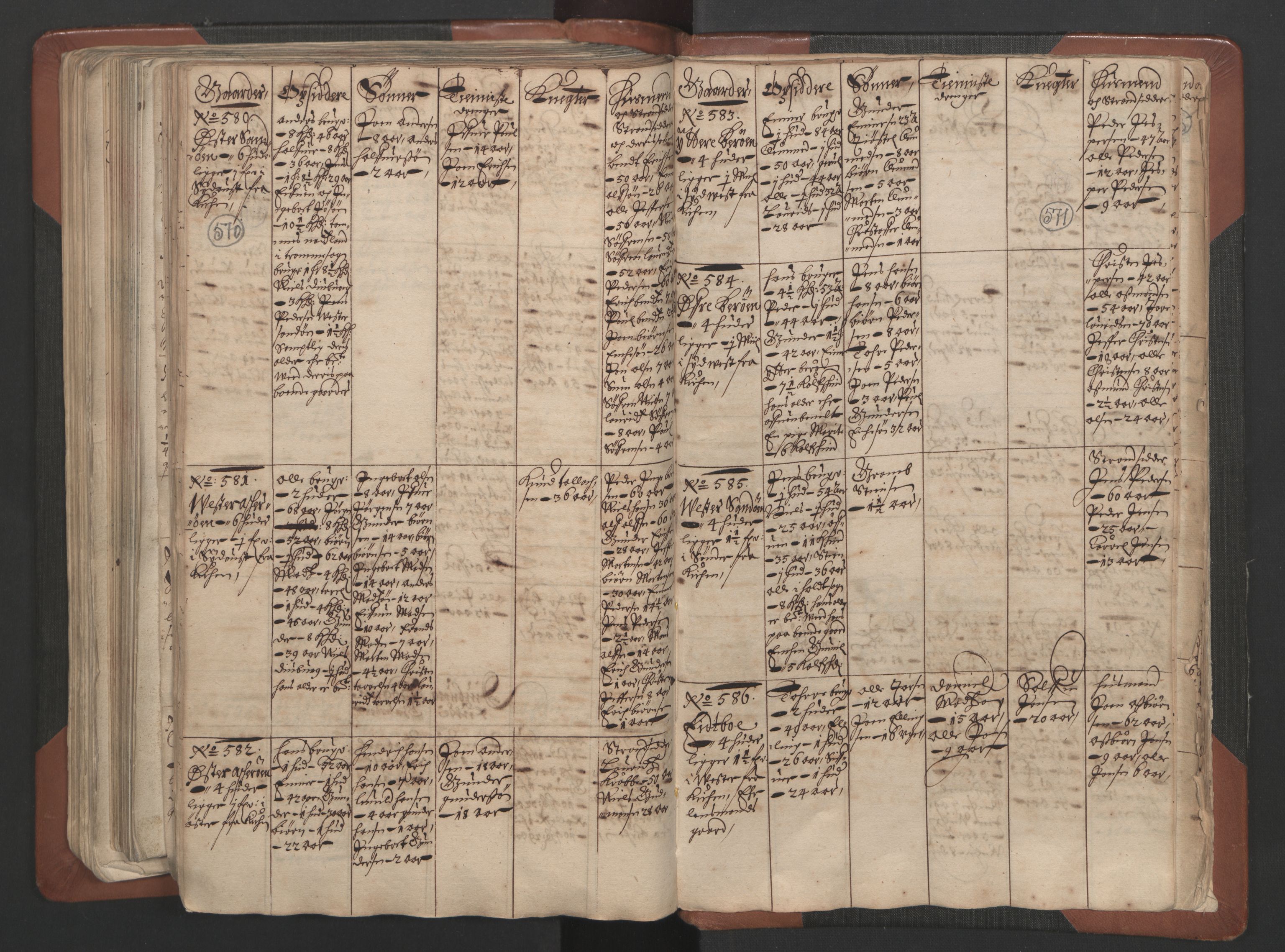 RA, Bailiff's Census 1664-1666, no. 7: Nedenes fogderi, 1664-1666, p. 570-571