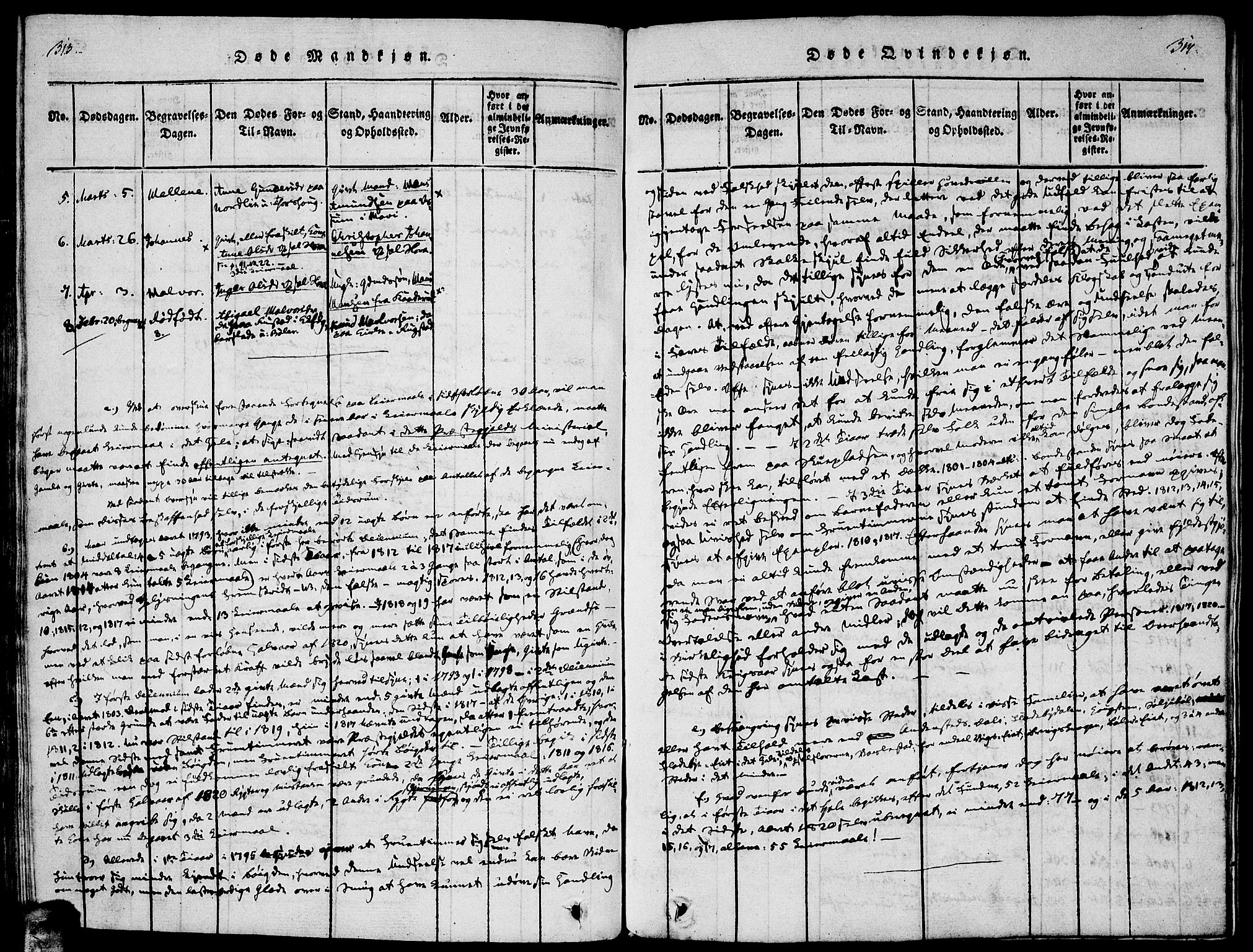 Enebakk prestekontor Kirkebøker, SAO/A-10171c/F/Fa/L0005: Parish register (official) no. I 5, 1790-1825, p. 313-314