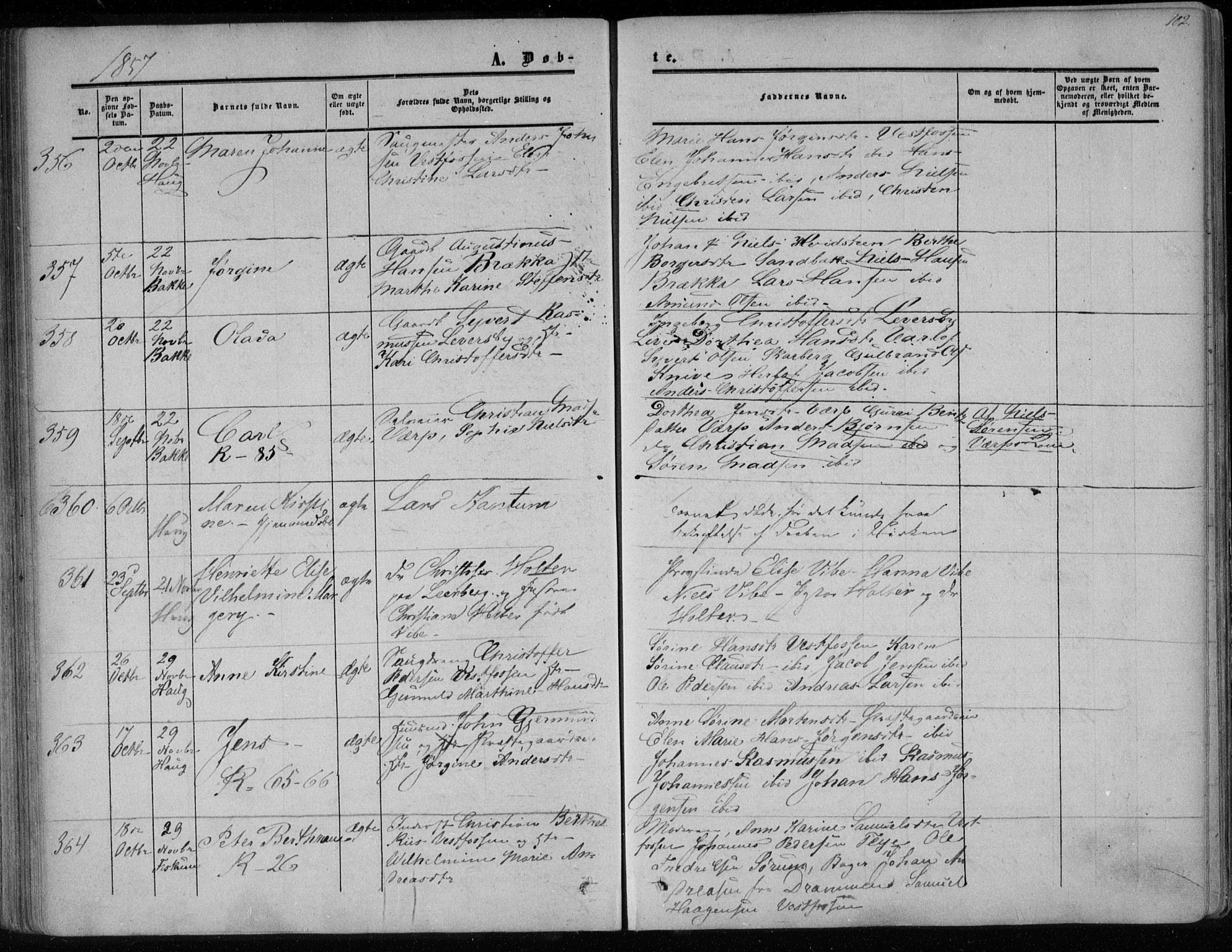 Eiker kirkebøker, AV/SAKO-A-4/F/Fa/L0015a: Parish register (official) no. I 15A, 1854-1860, p. 102