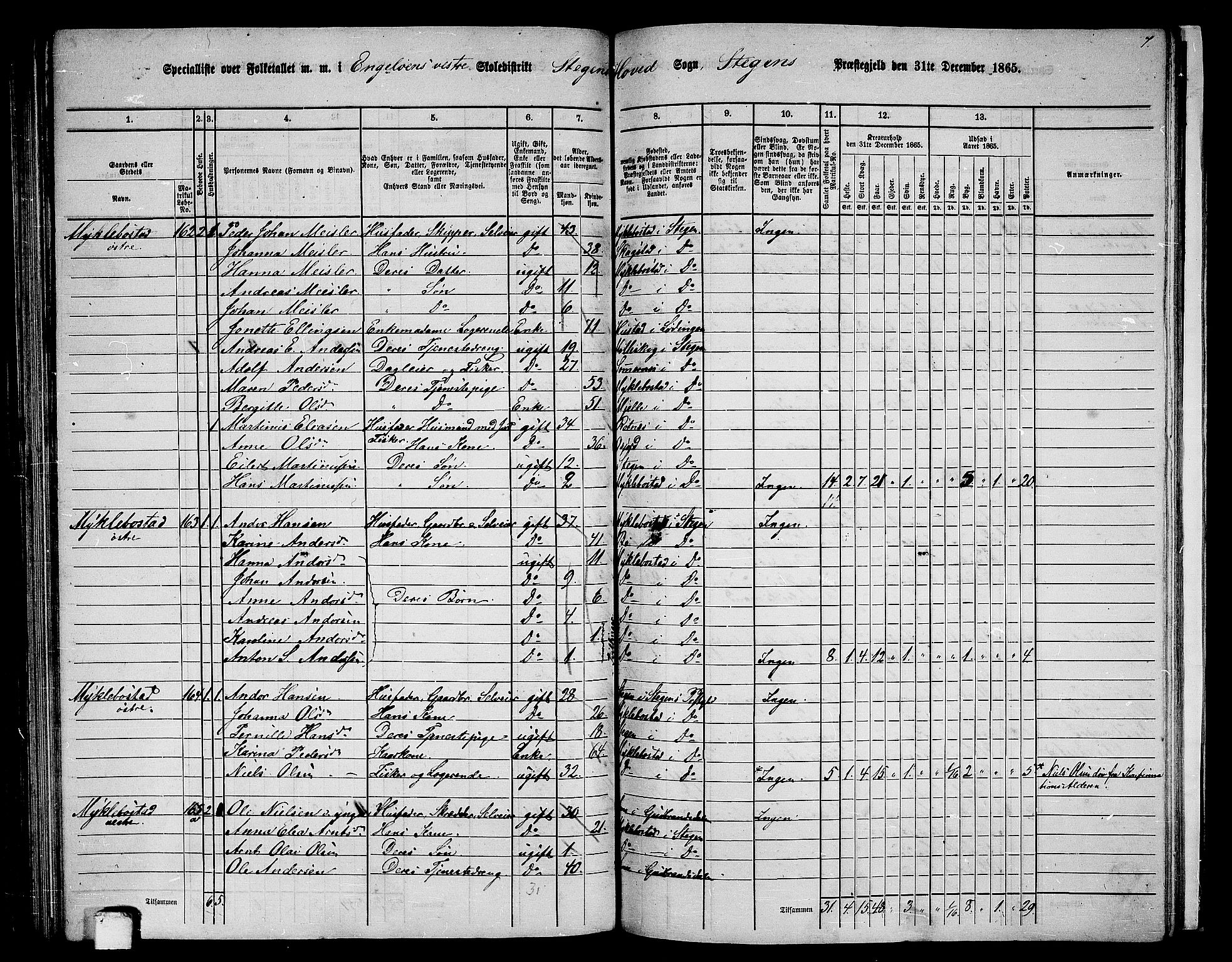 RA, 1865 census for Steigen, 1865, p. 94