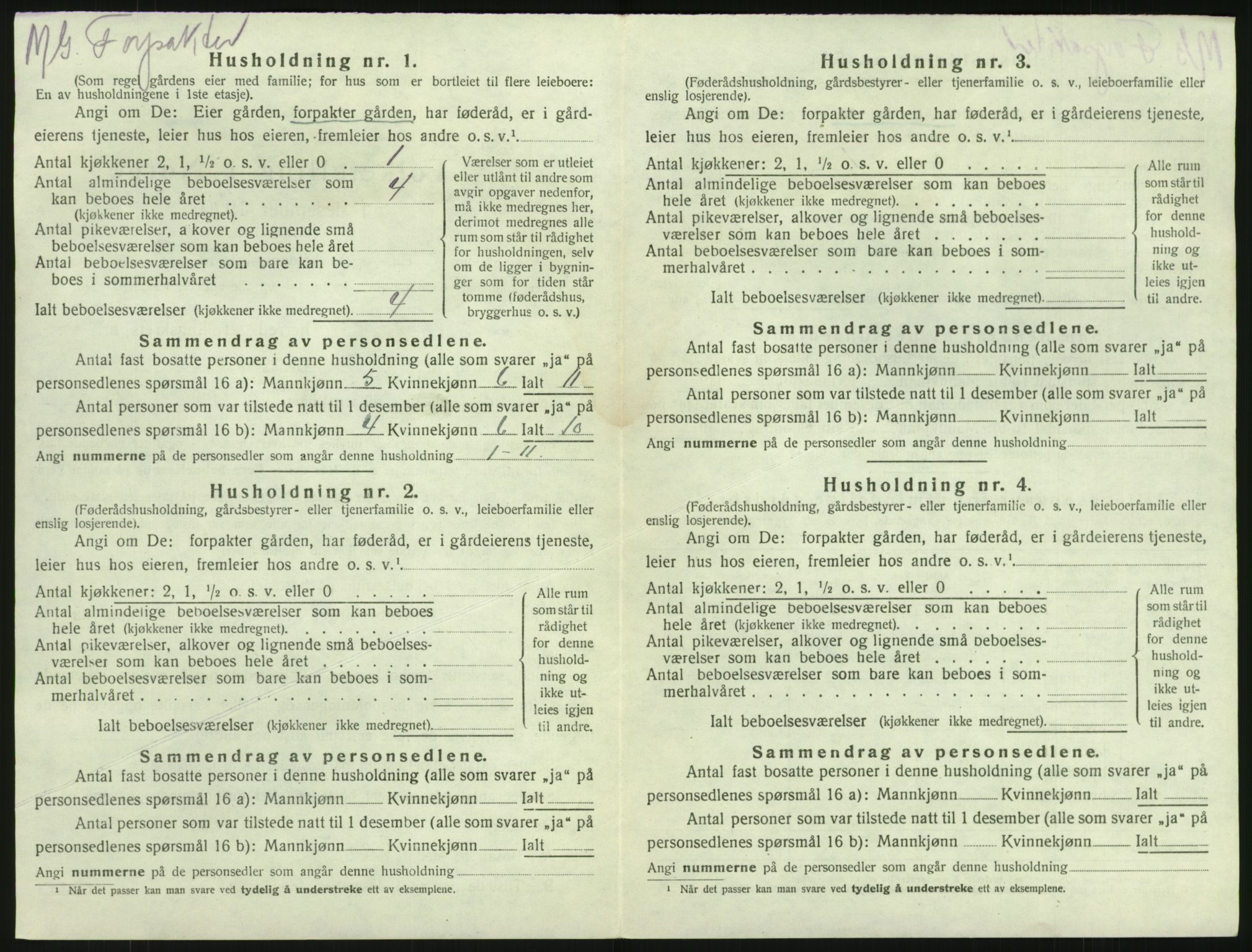 SAKO, 1920 census for Brunlanes, 1920, p. 838