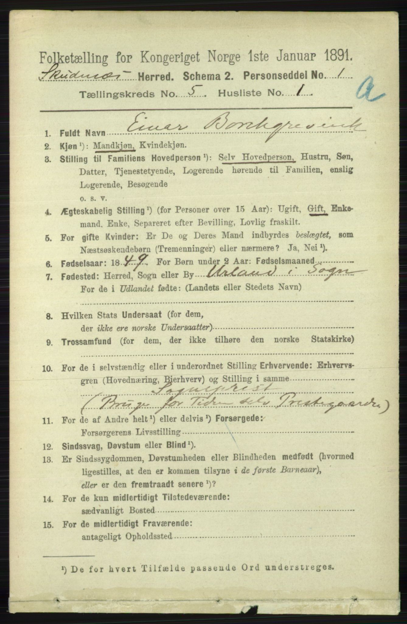 RA, 1891 census for 1150 Skudenes, 1891, p. 2525