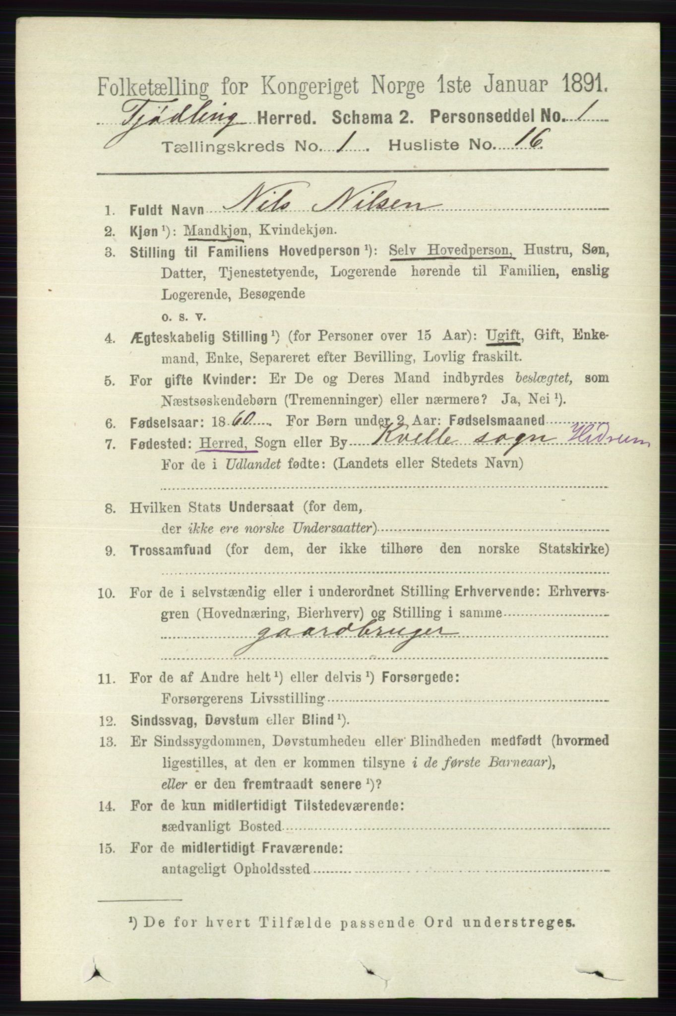 RA, 1891 census for 0725 Tjølling, 1891, p. 187