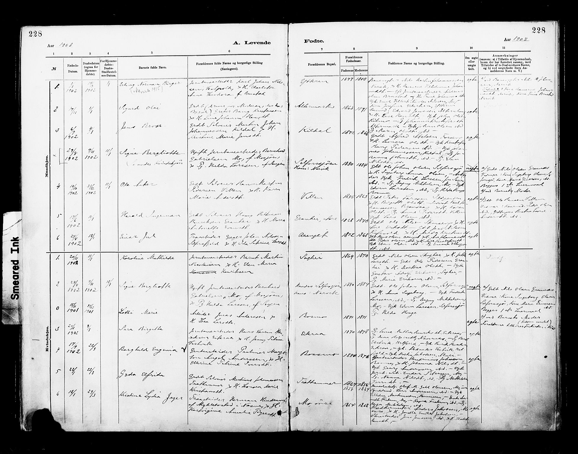 Ministerialprotokoller, klokkerbøker og fødselsregistre - Nordland, SAT/A-1459/827/L0400: Parish register (official) no. 827A12, 1883-1903, p. 228