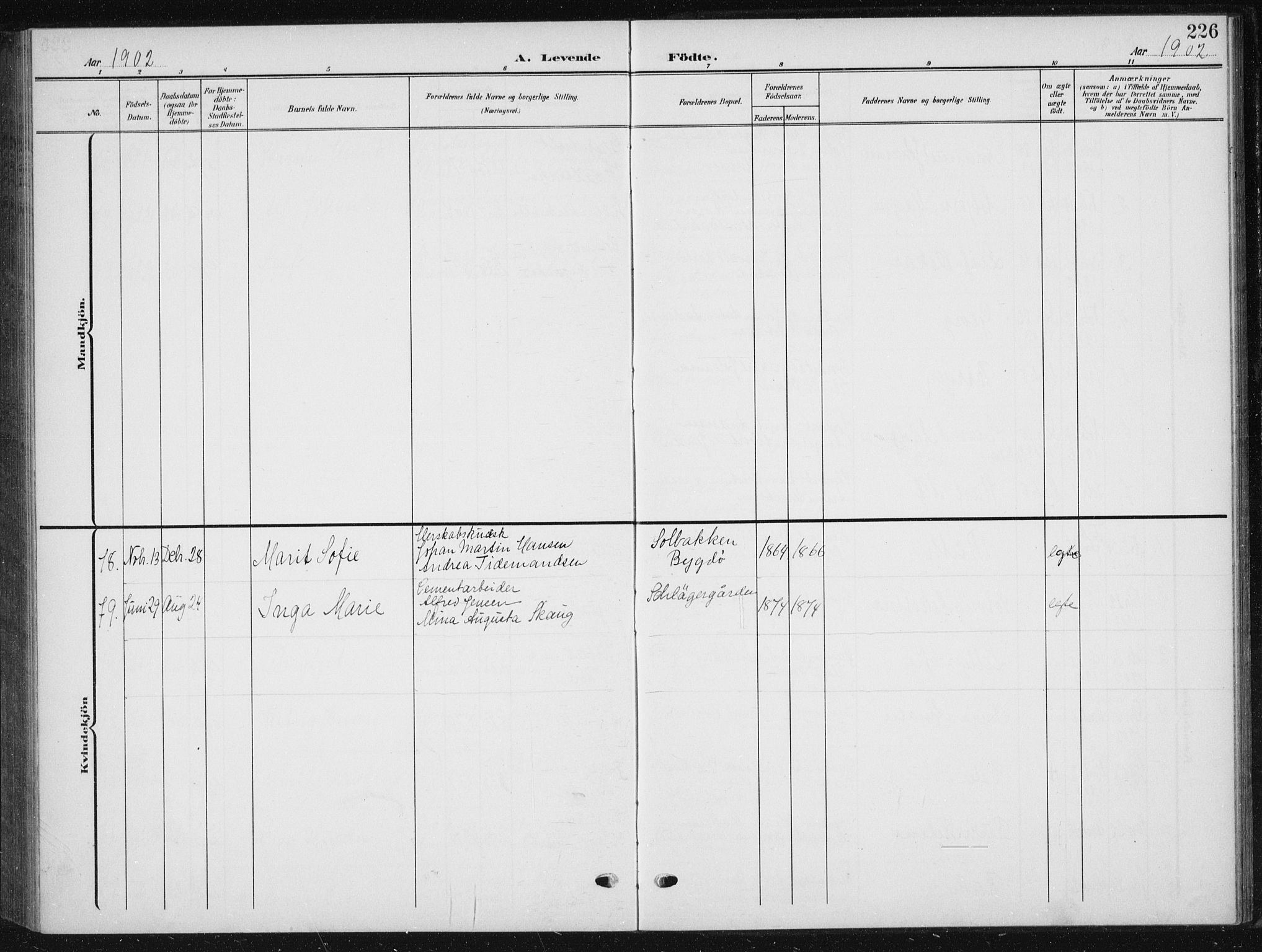 Vestre Aker prestekontor Kirkebøker, AV/SAO-A-10025/F/Fb/L0001: Parish register (official) no. II 1, 1880-1906, p. 226