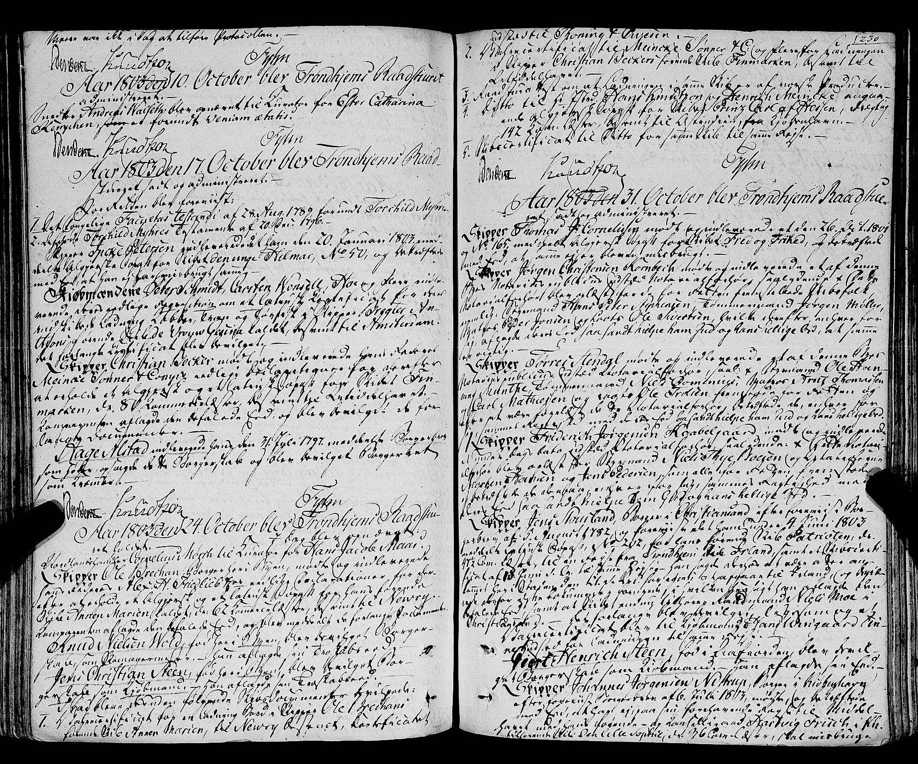 Trondheim magistrat, SAT/A-4372/A/Aa/L0018: Rådstueprotokoller, 1793-1826, p. 230