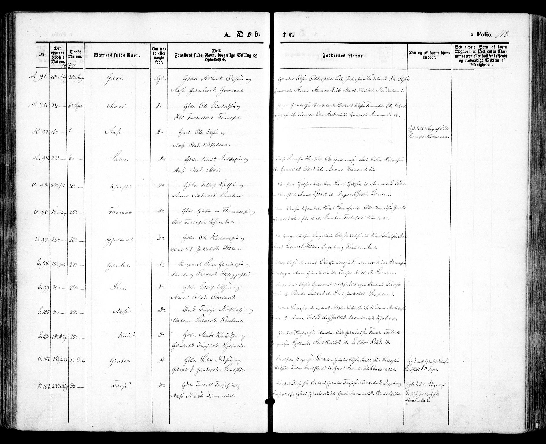 Evje sokneprestkontor, AV/SAK-1111-0008/F/Fa/Faa/L0005: Parish register (official) no. A 5, 1843-1865, p. 118