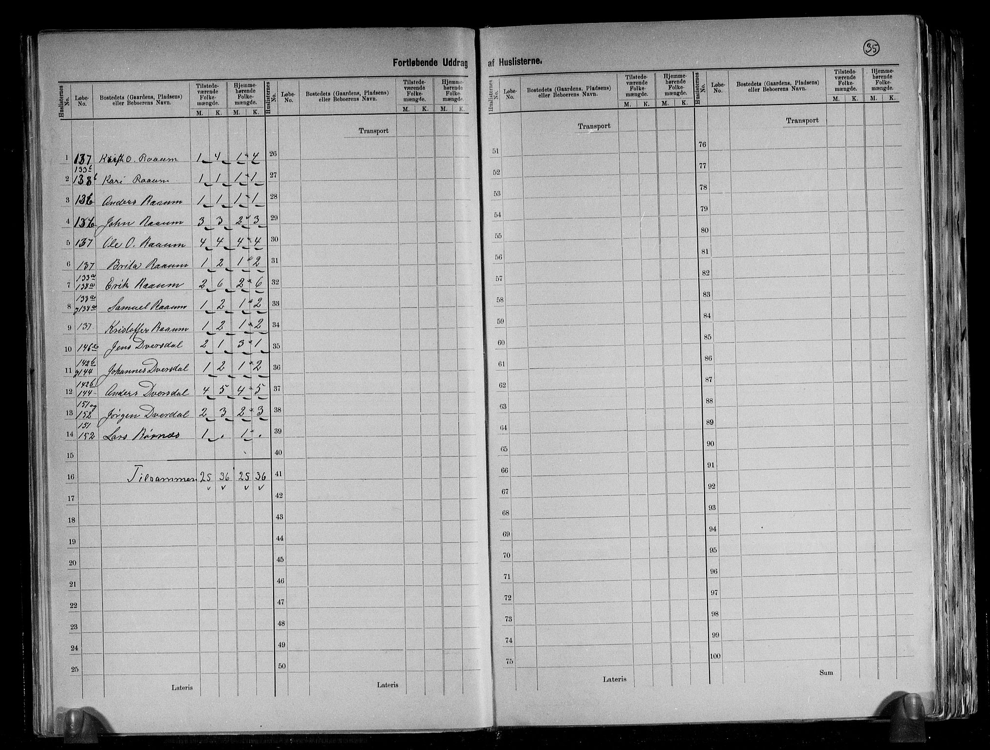 RA, 1891 census for 1426 Luster, 1891, p. 25