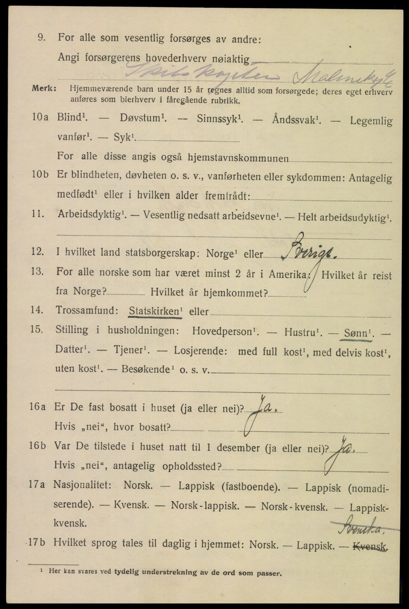 SAT, 1920 census for Narvik, 1920, p. 8767