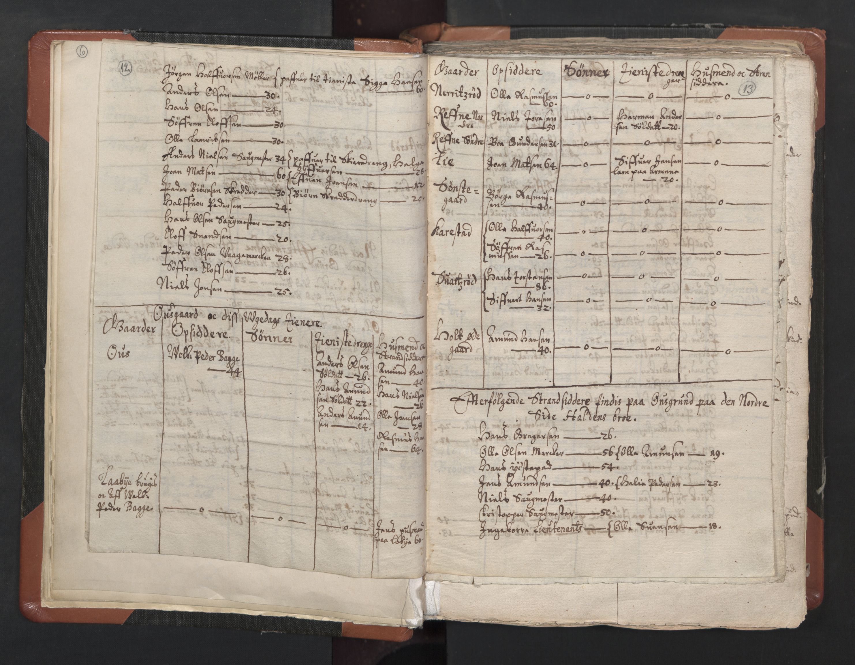 RA, Vicar's Census 1664-1666, no. 1: Nedre Borgesyssel deanery, 1664-1666, p. 12-13