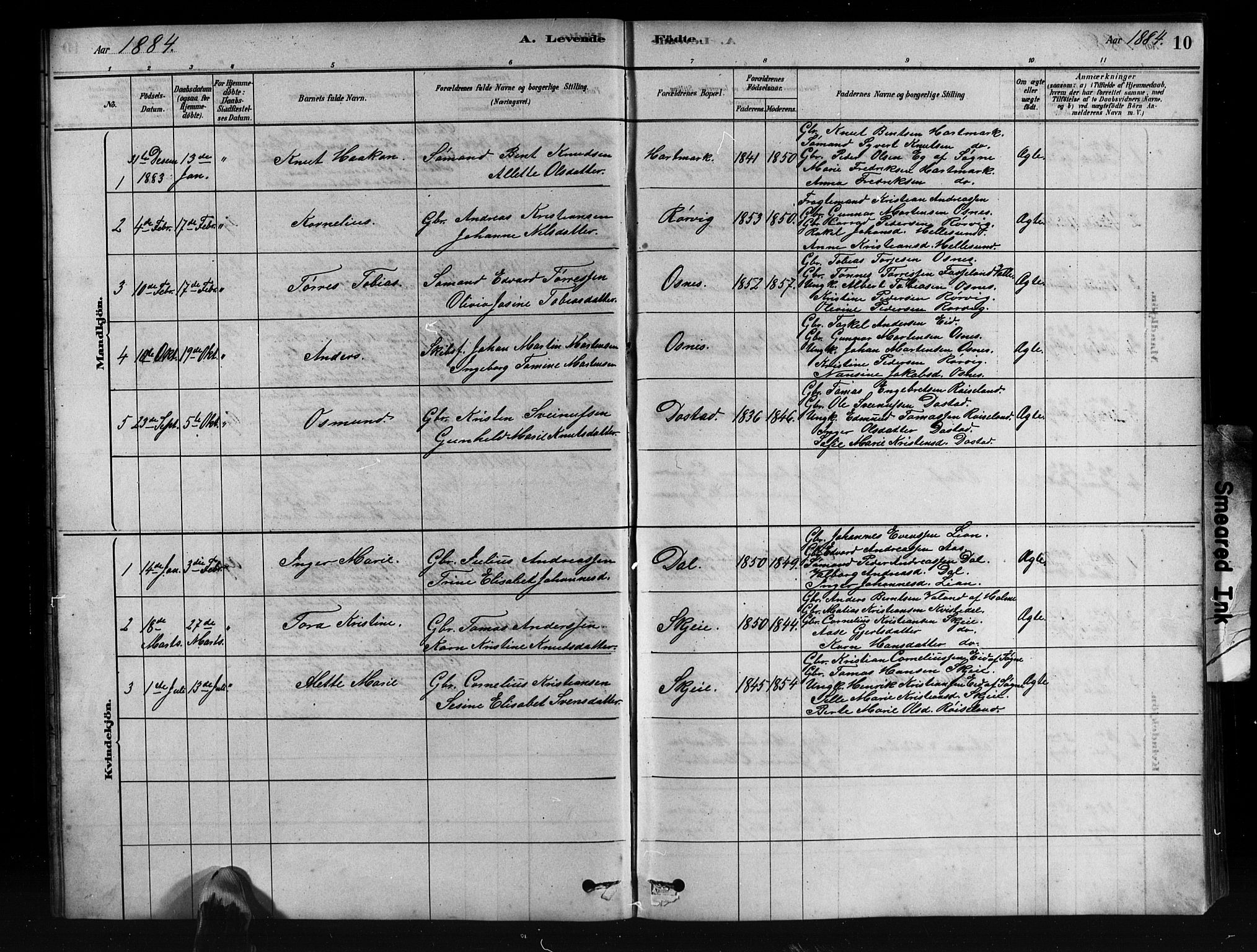 Mandal sokneprestkontor, SAK/1111-0030/F/Fb/Fbb/L0004: Parish register (copy) no. B 4, 1878-1913, p. 10