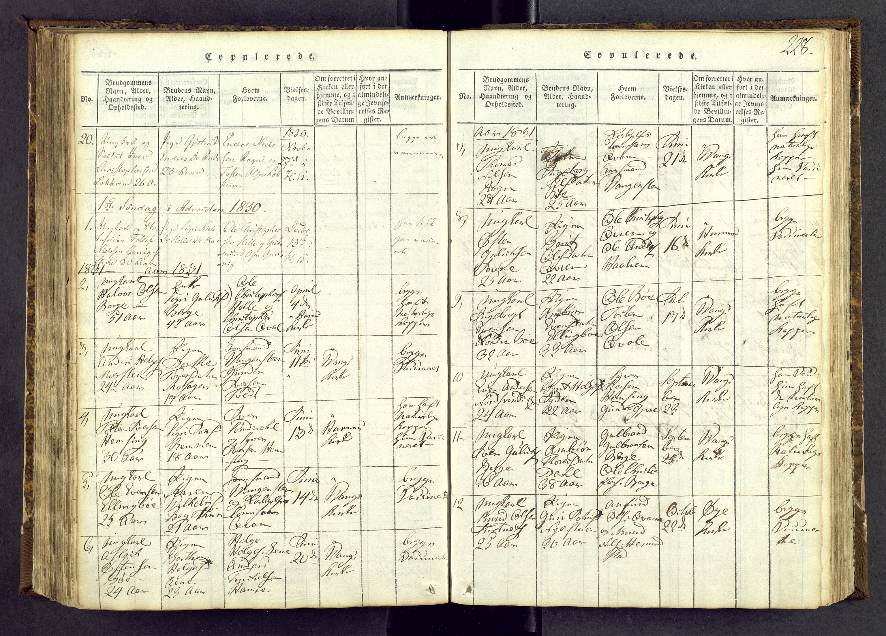 Vang prestekontor, Valdres, AV/SAH-PREST-140/H/Ha/L0004: Parish register (official) no. 4, 1814-1831, p. 228