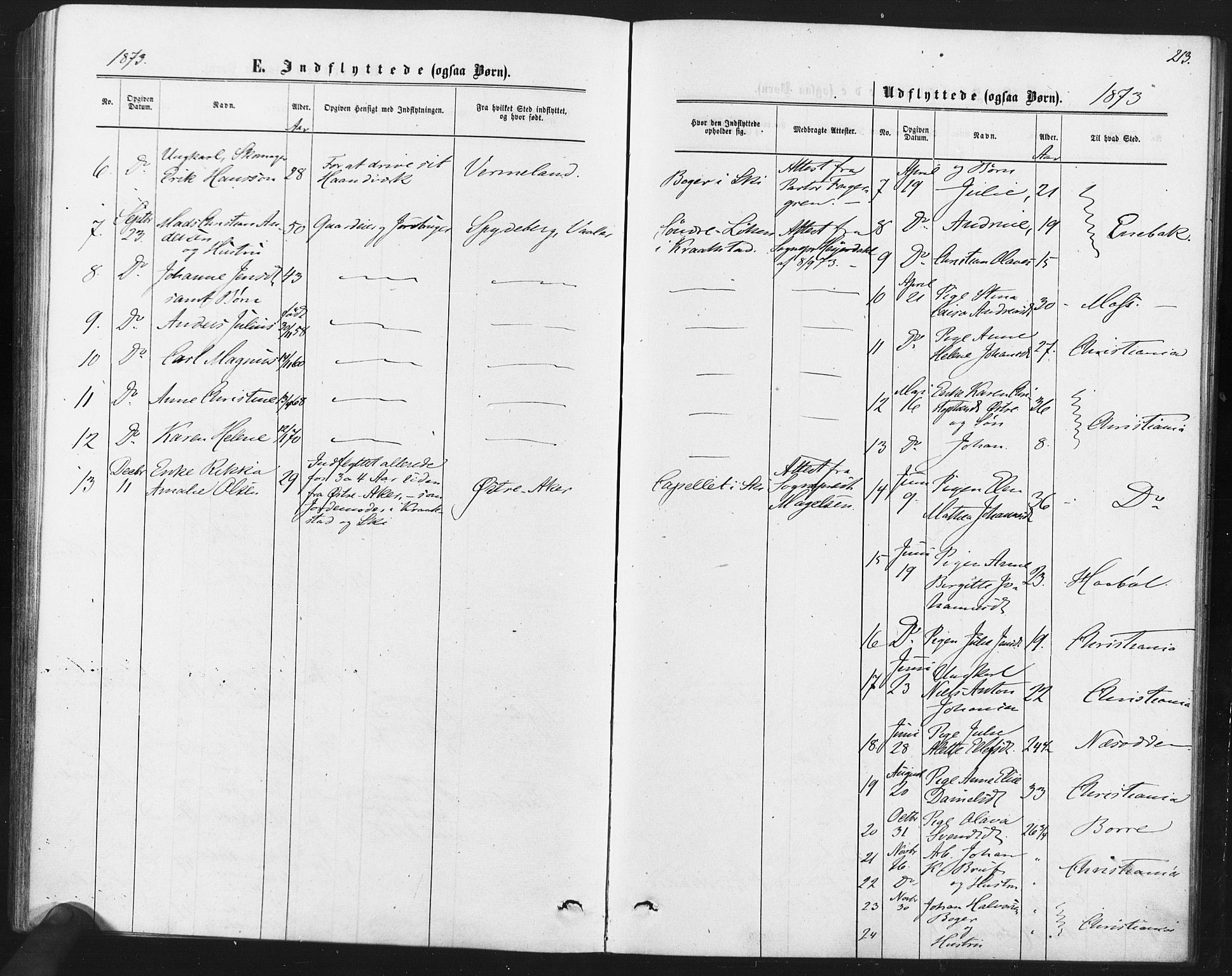 Kråkstad prestekontor Kirkebøker, AV/SAO-A-10125a/F/Fa/L0008: Parish register (official) no. I 8, 1870-1879, p. 213