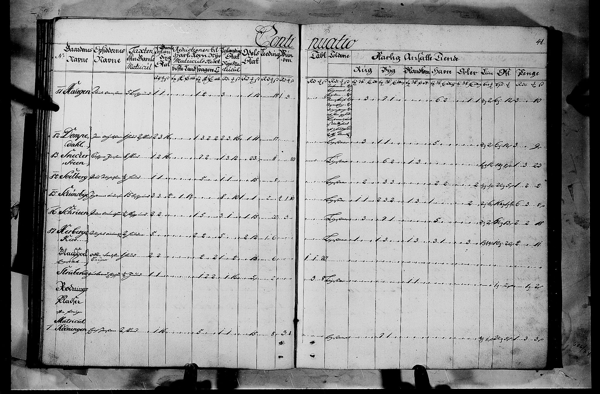 Rentekammeret inntil 1814, Realistisk ordnet avdeling, AV/RA-EA-4070/N/Nb/Nbf/L0103b: Hedmark matrikkelprotokoll, 1723, p. 40b-41a